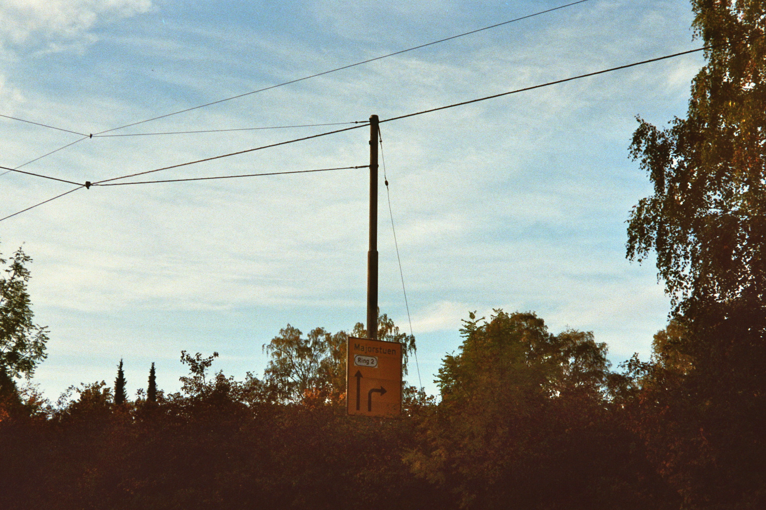 Imm005 5