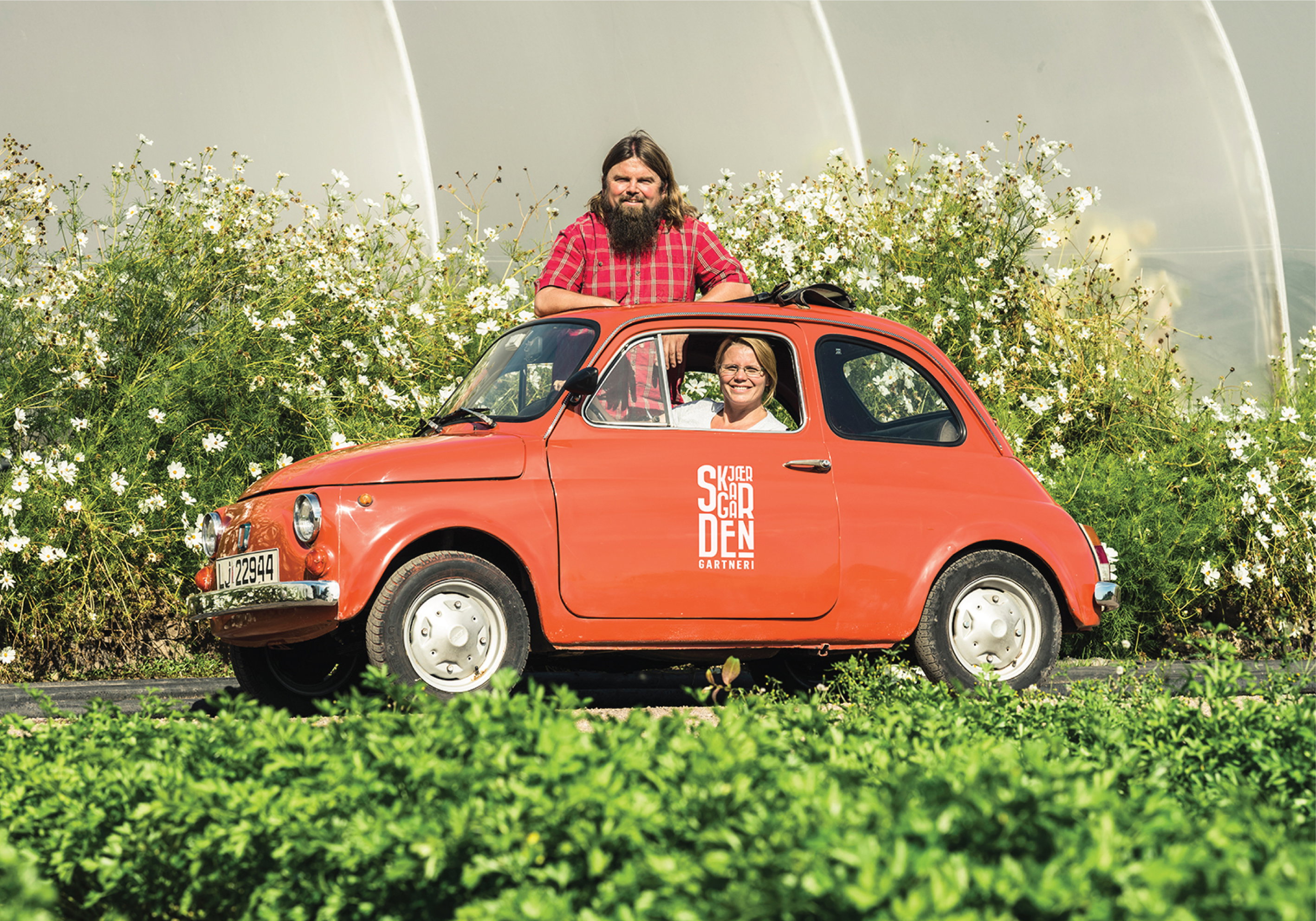22699 dff0c original