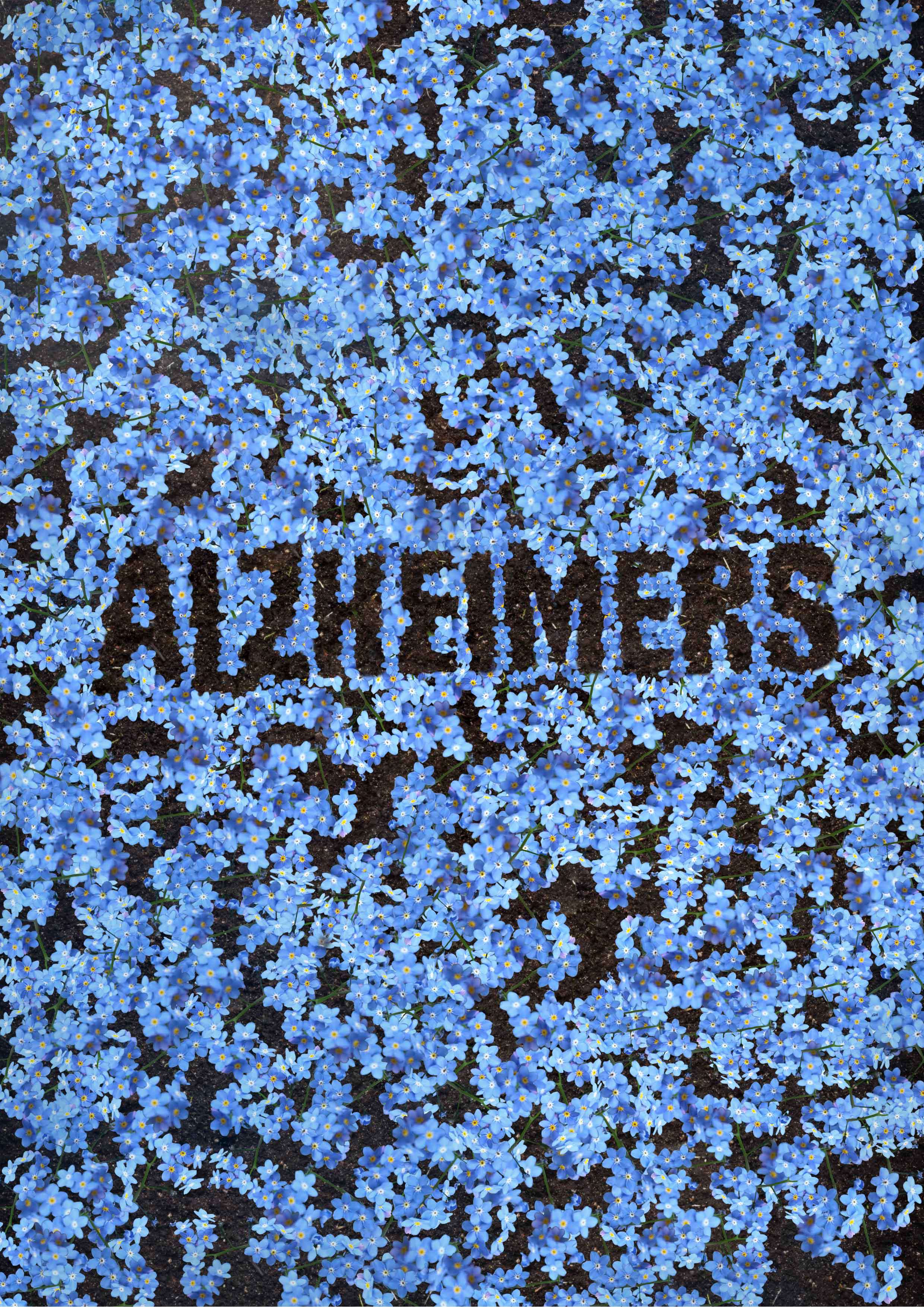 EDRB Ze MV Blomster