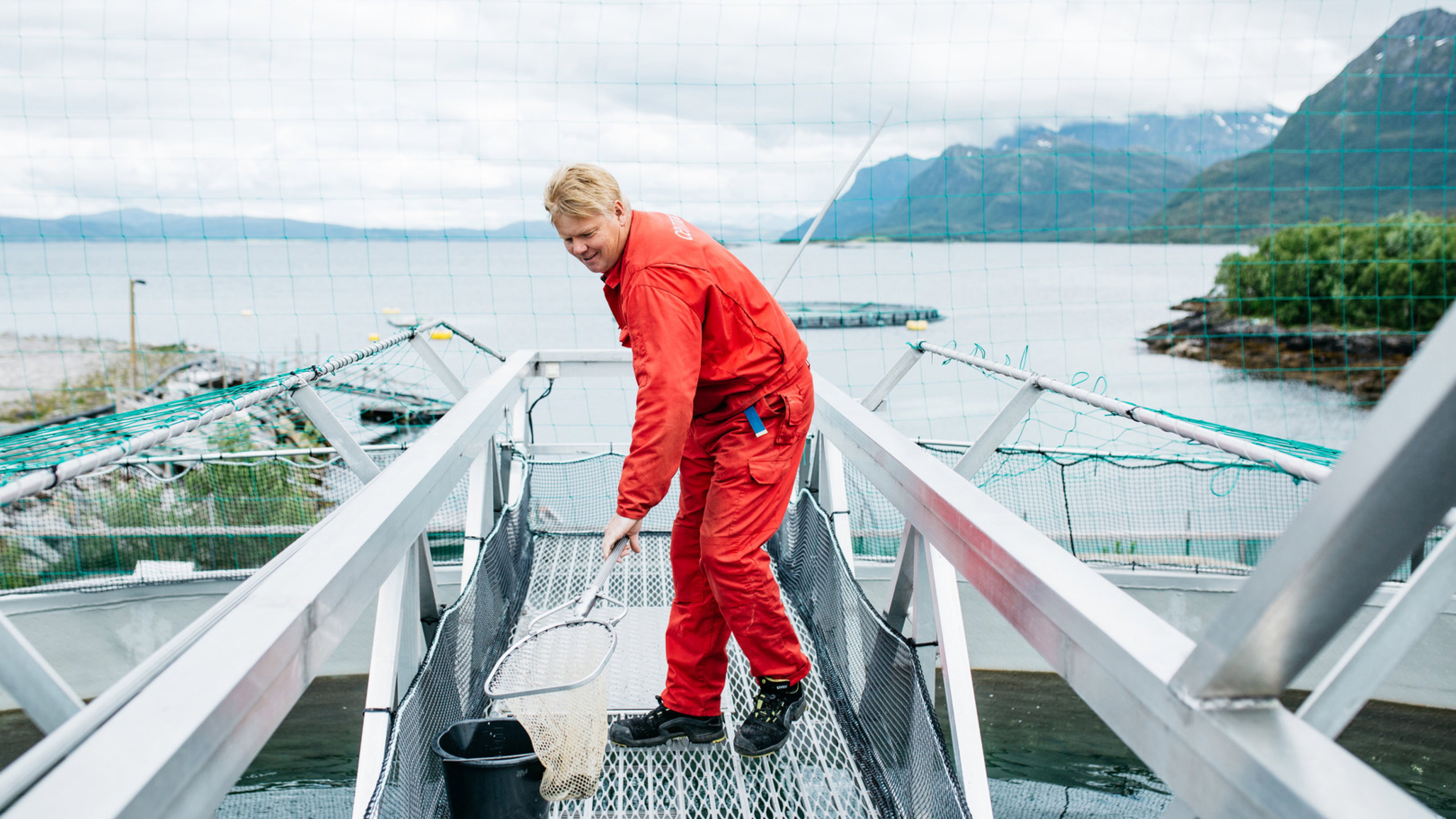 GQZBX Bbn Forsknignsrådet Gullblyanten 21