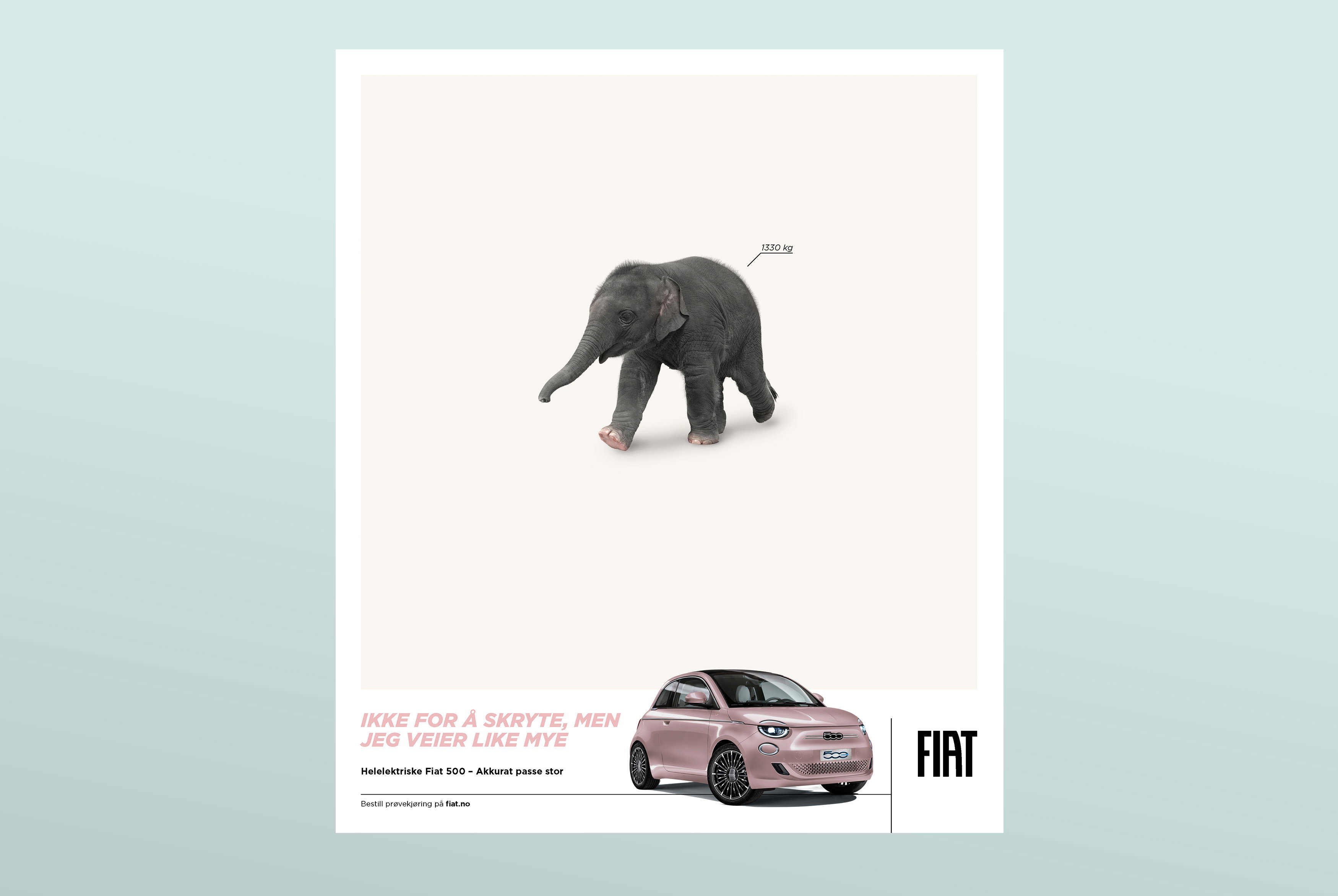 Kl RLX Jwq Elefant