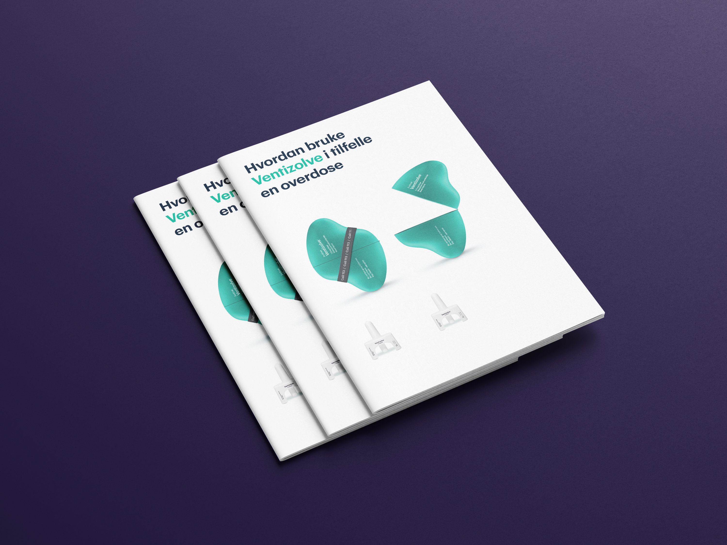 NWEMZ Kmn Free A4 Brochure Mockup 02