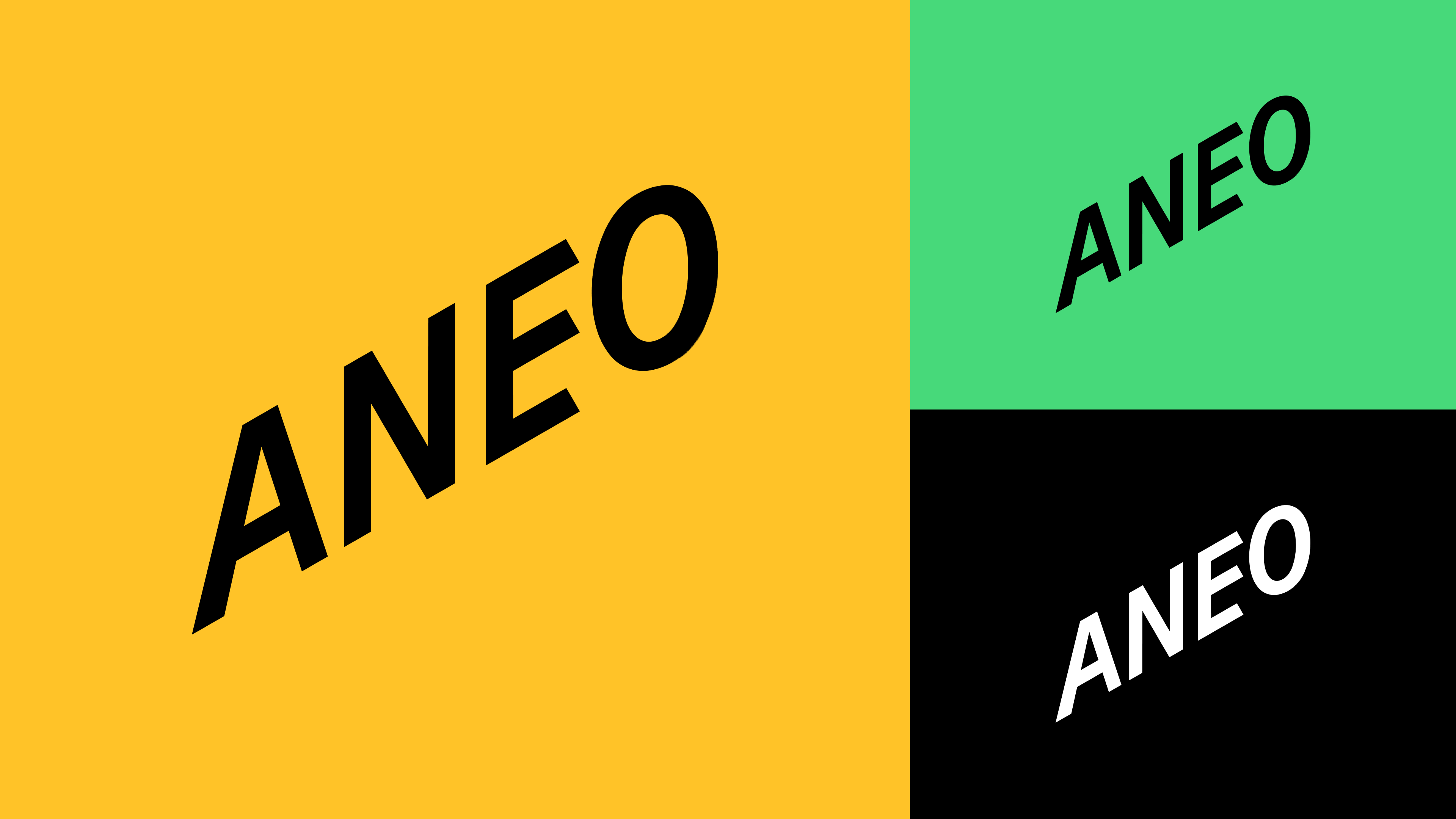 X Vqpg DBR Aneo Visuelt identitet 3