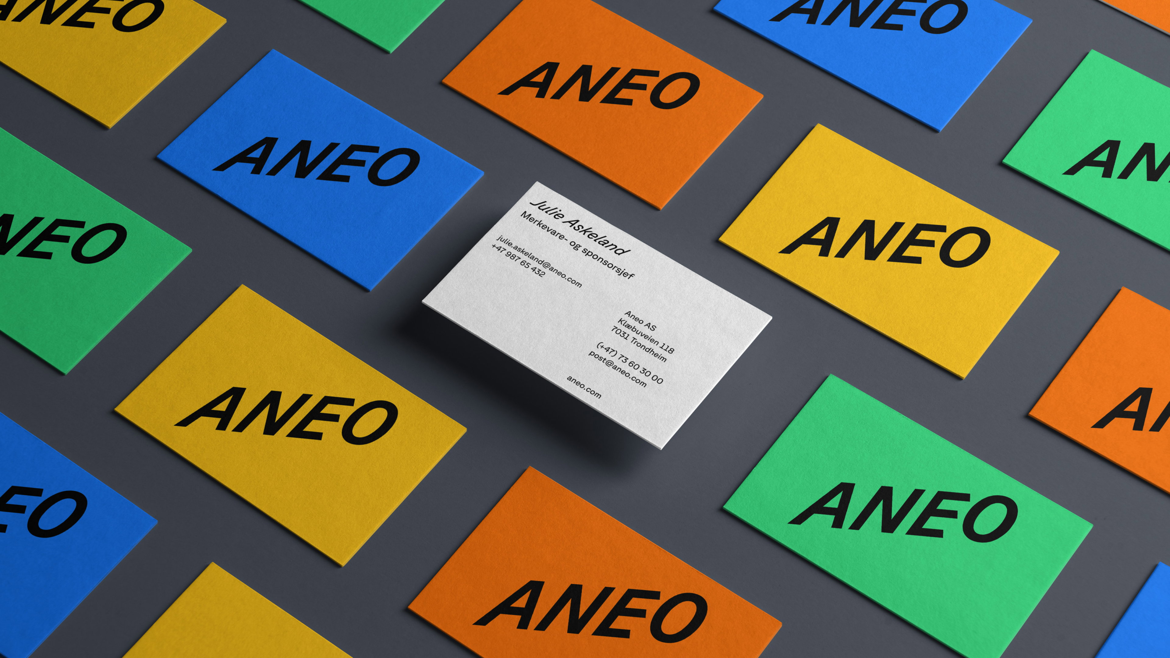 X Vqpg DBR Aneo Visuelt identitet 5