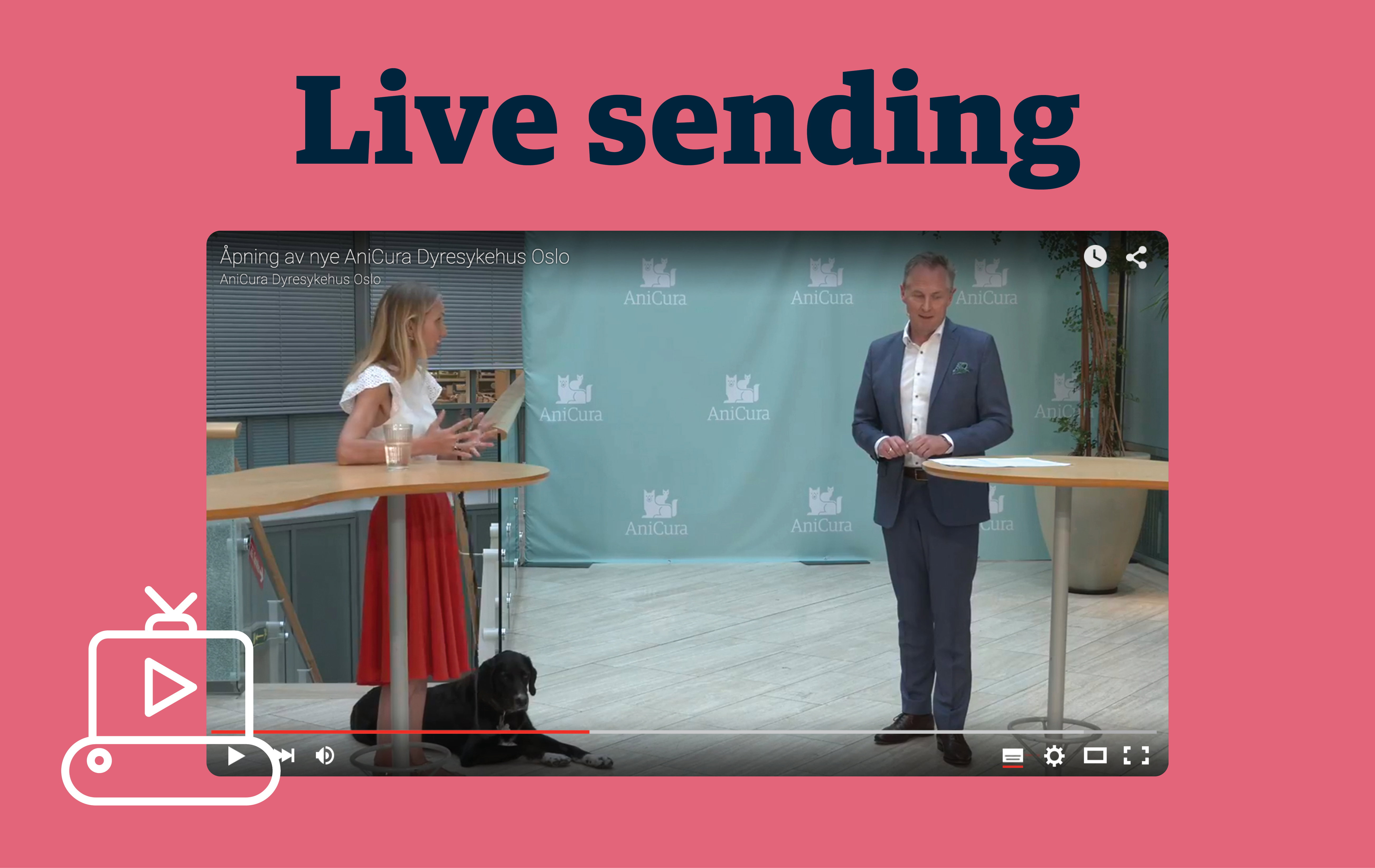YW Gkljn Y Live 2