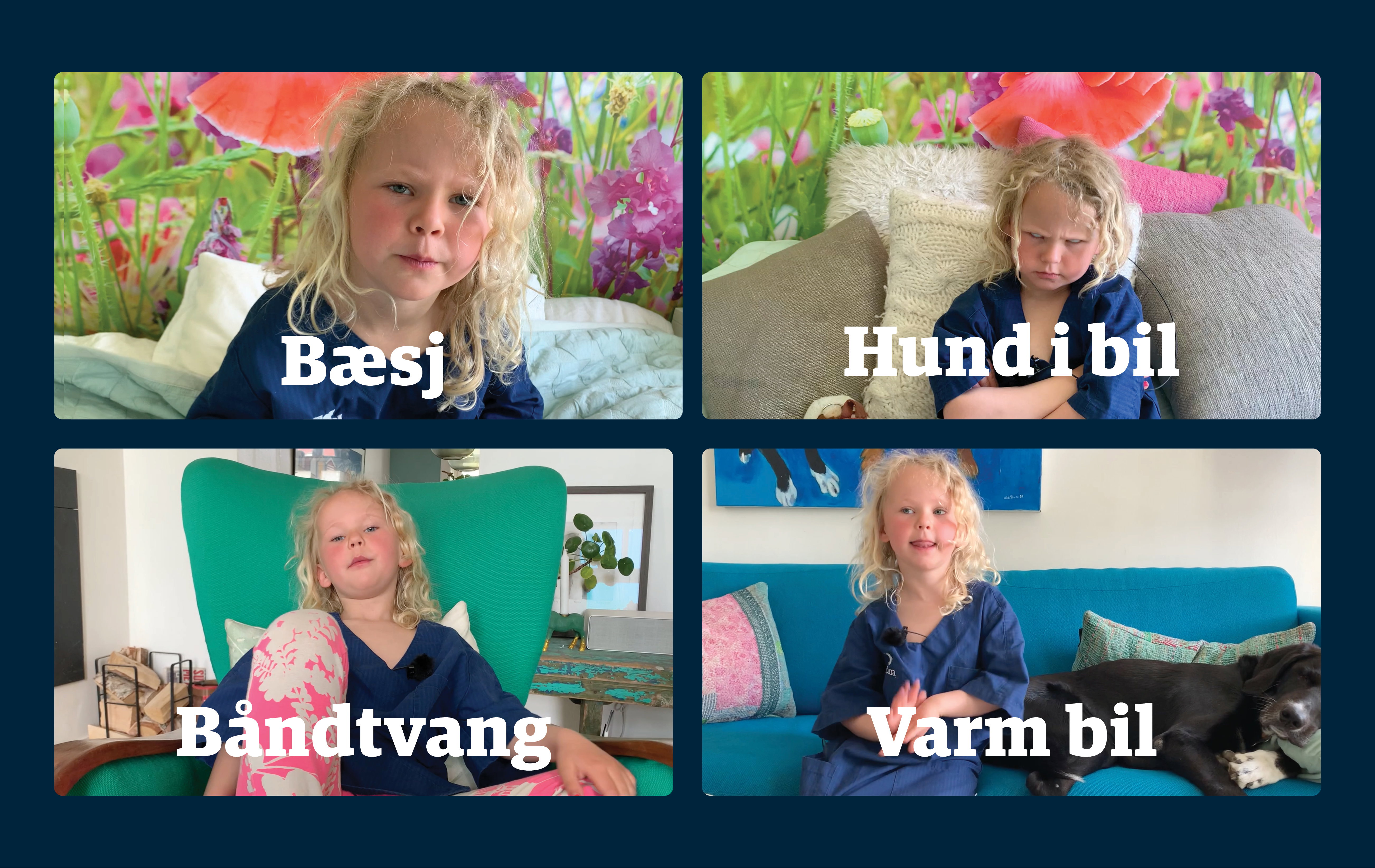 YW Gkljn Y Strenge Stella Temaoversikt