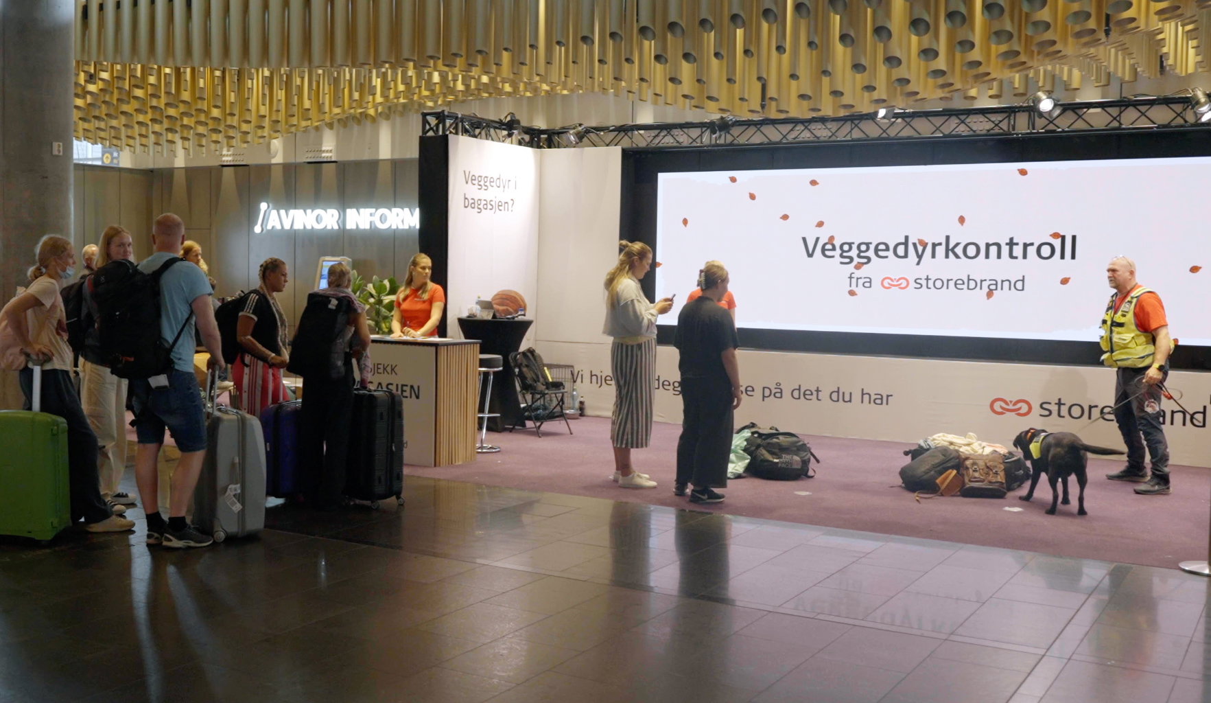 P Nl Xyymr Storebrand Veggedyrkontroll stand