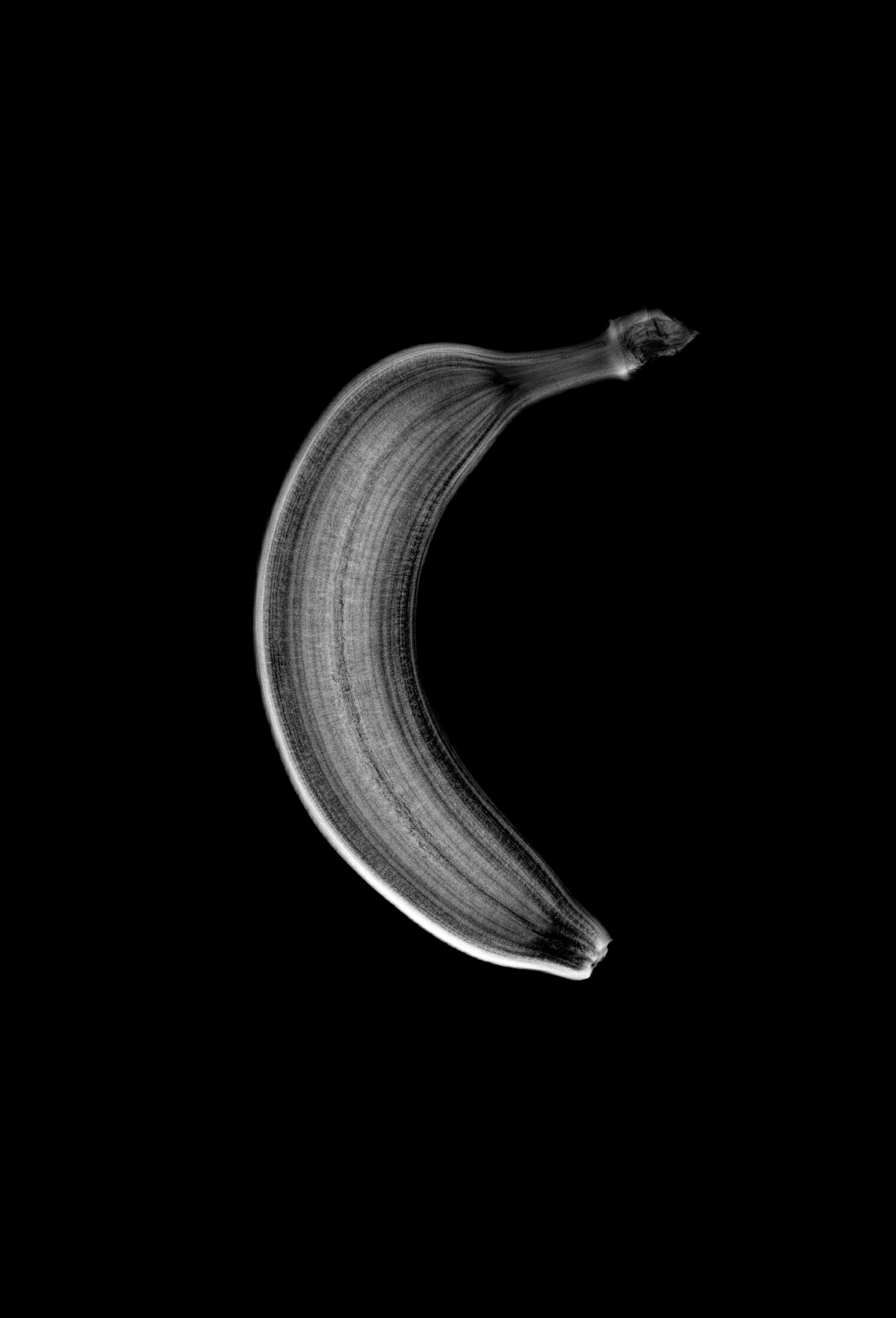 Xd X Dg LWP banan
