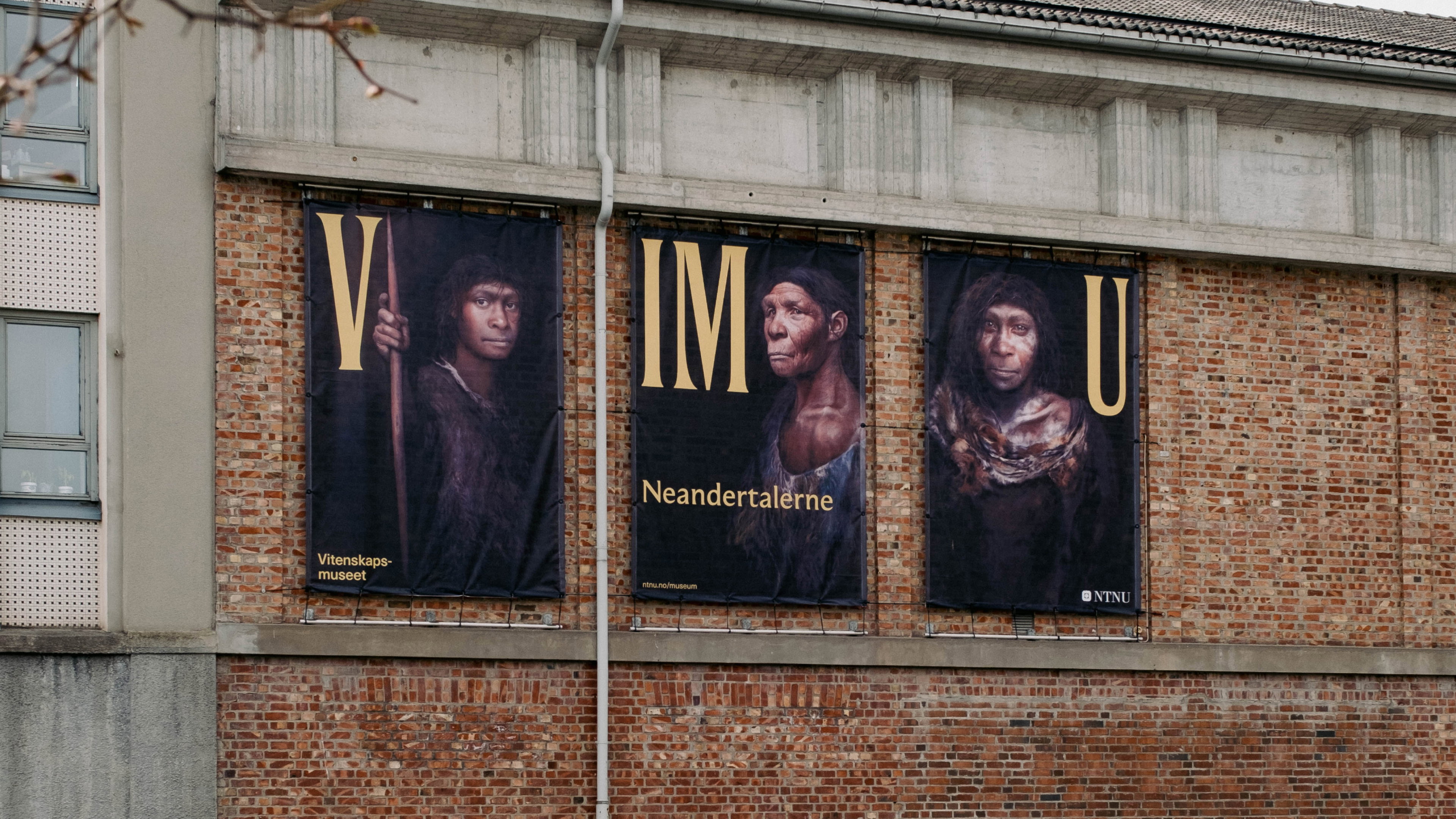 Zj Akbmxp 17 Banners