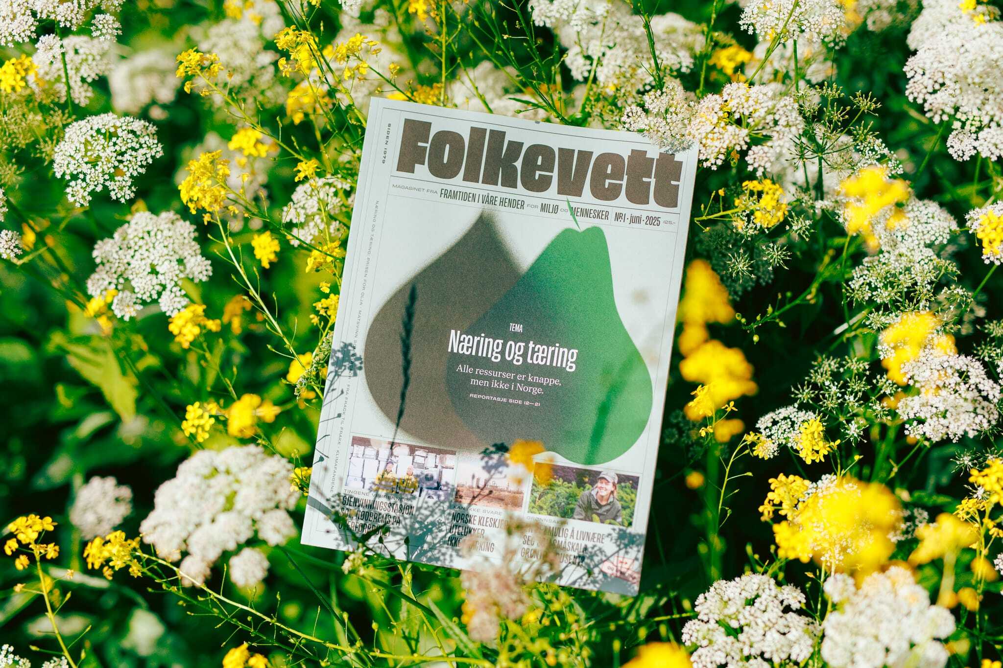 01 Folkevett case BOW web 8
