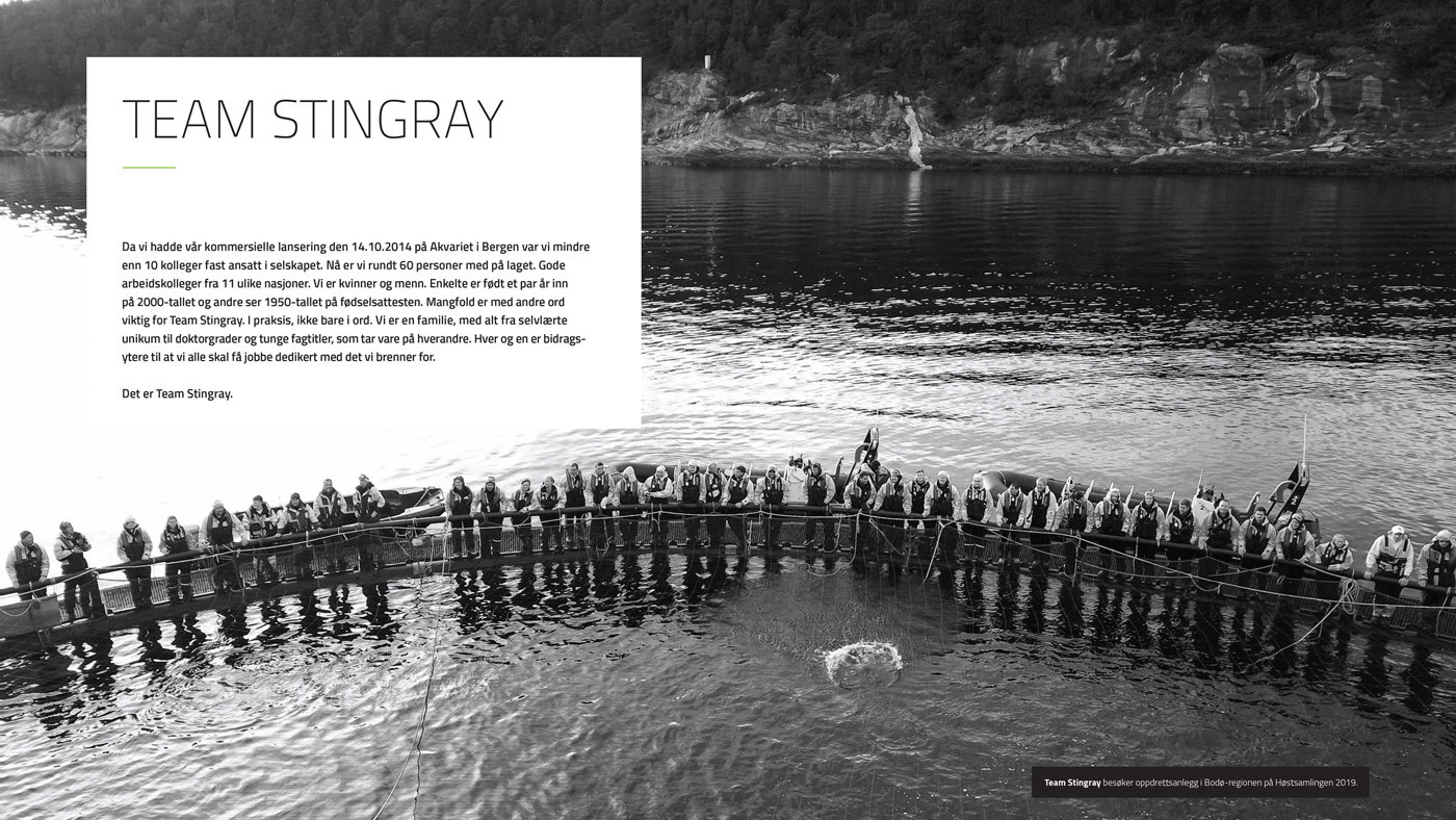 03 stingray team stingray 1400x788