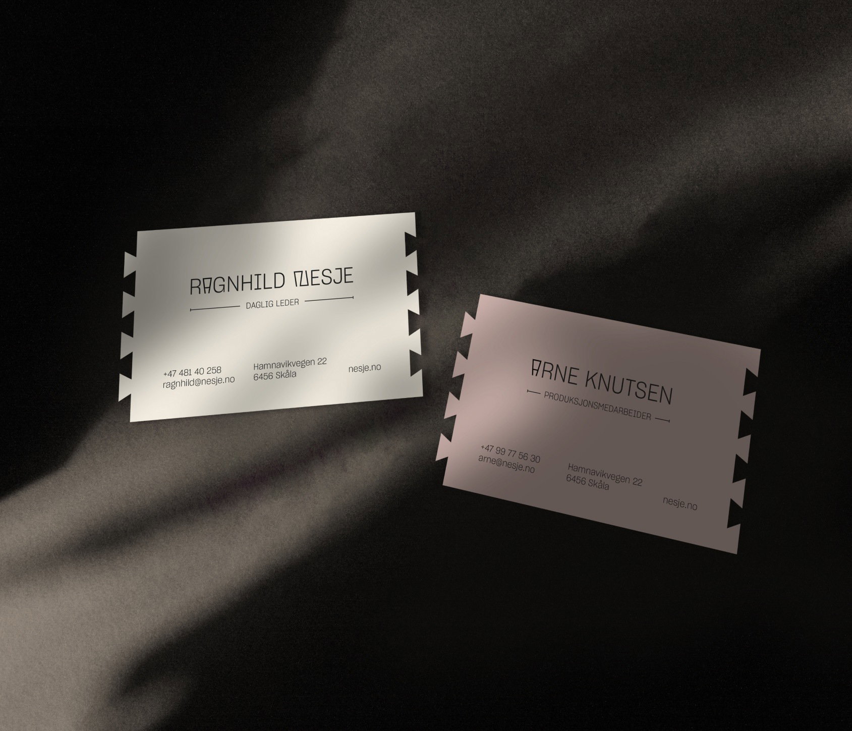 04 2 Nesje Business Cards