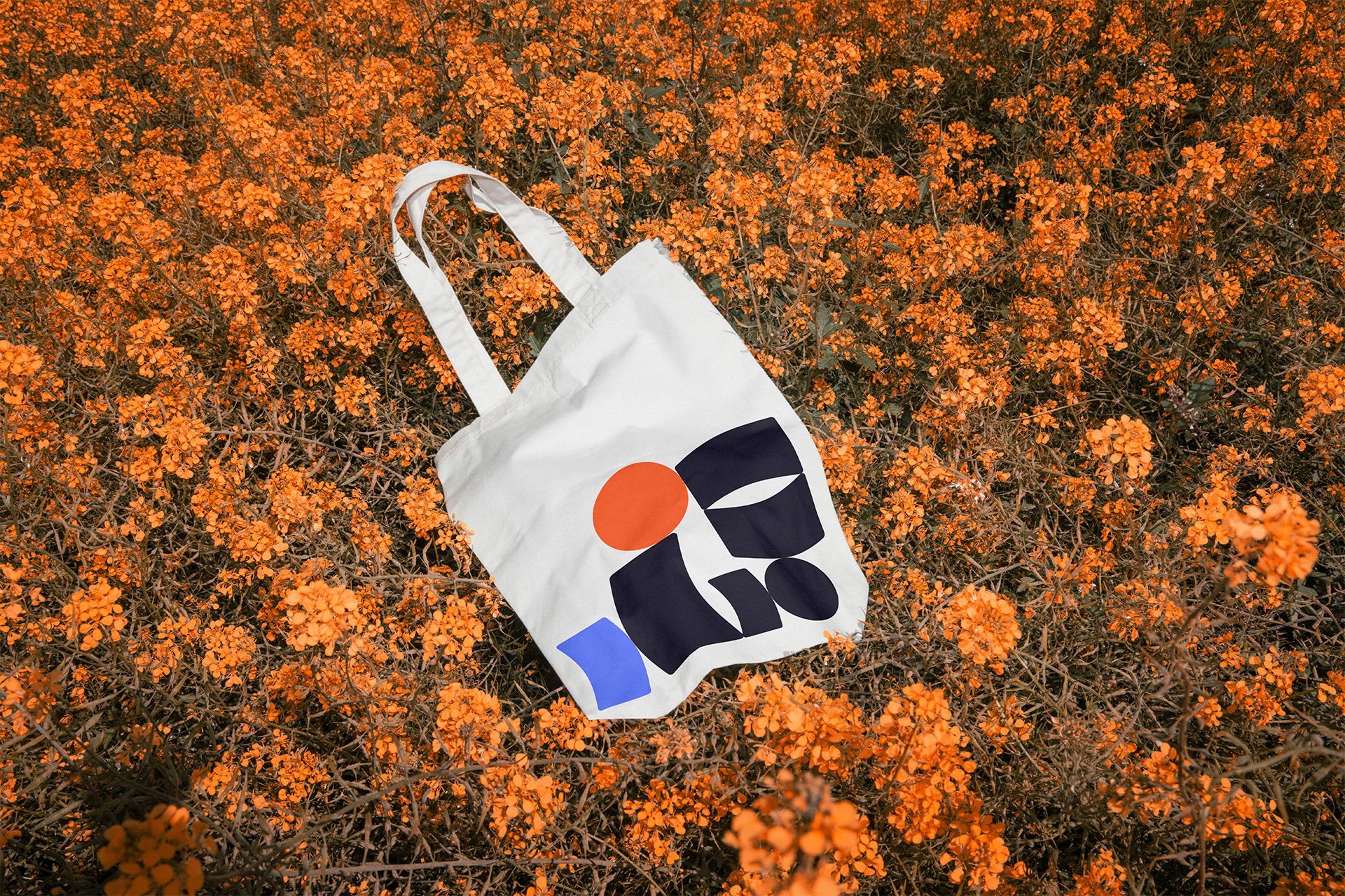 06 X