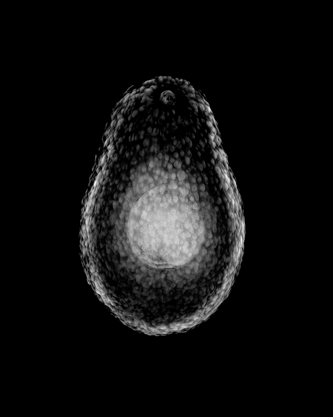 07 1080x1350 frukt 2