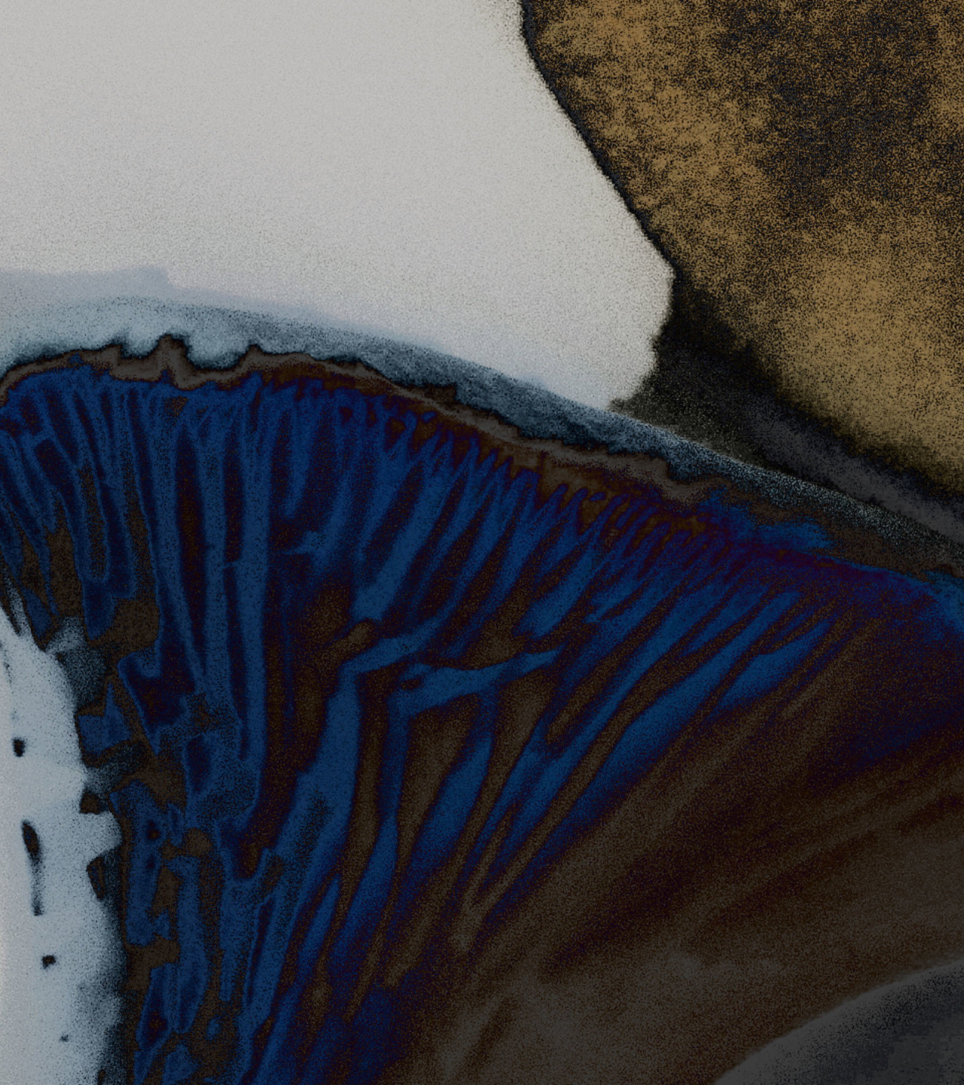 10 Mycela illustration detail