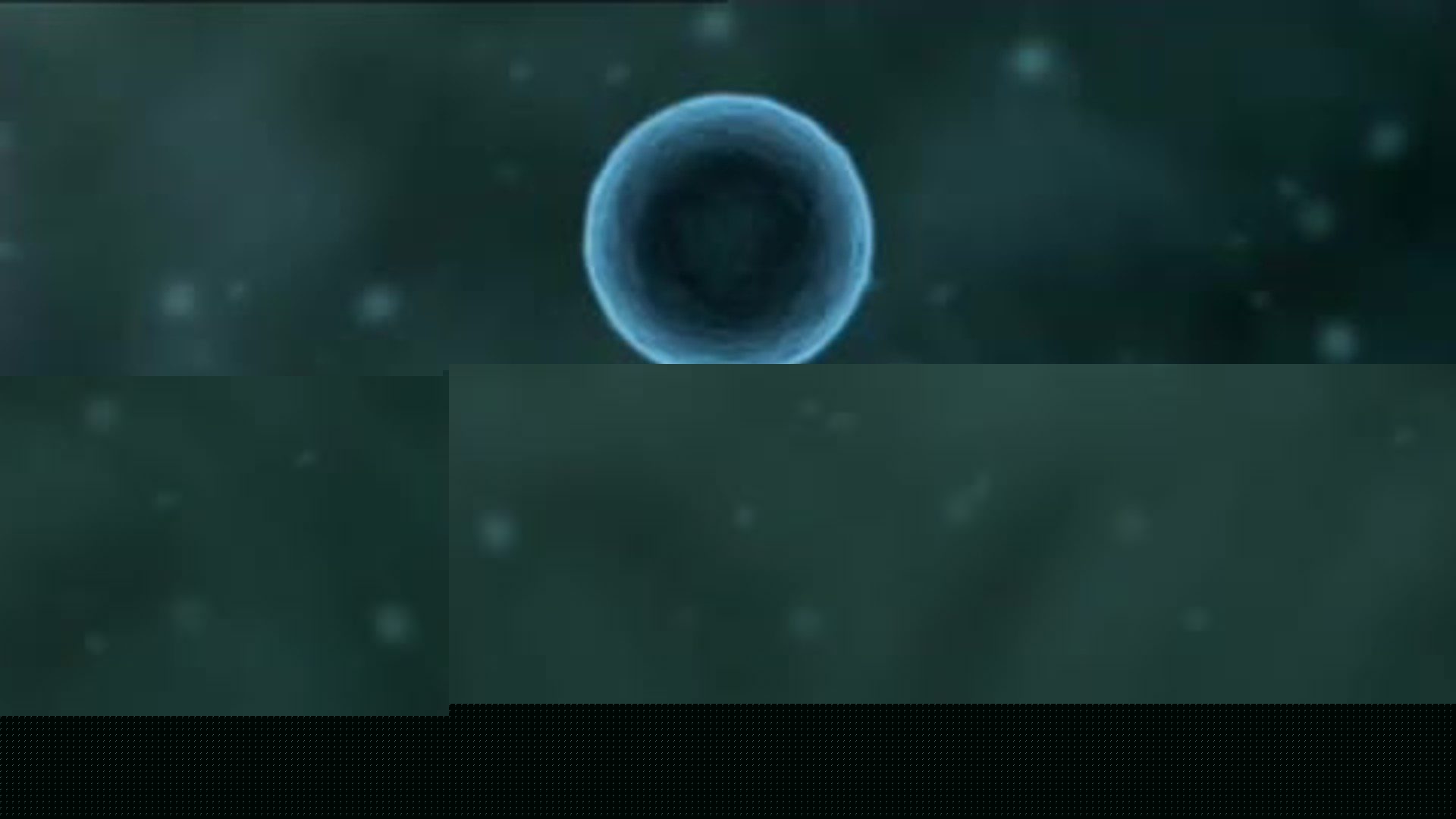 11050 bf3c7 original