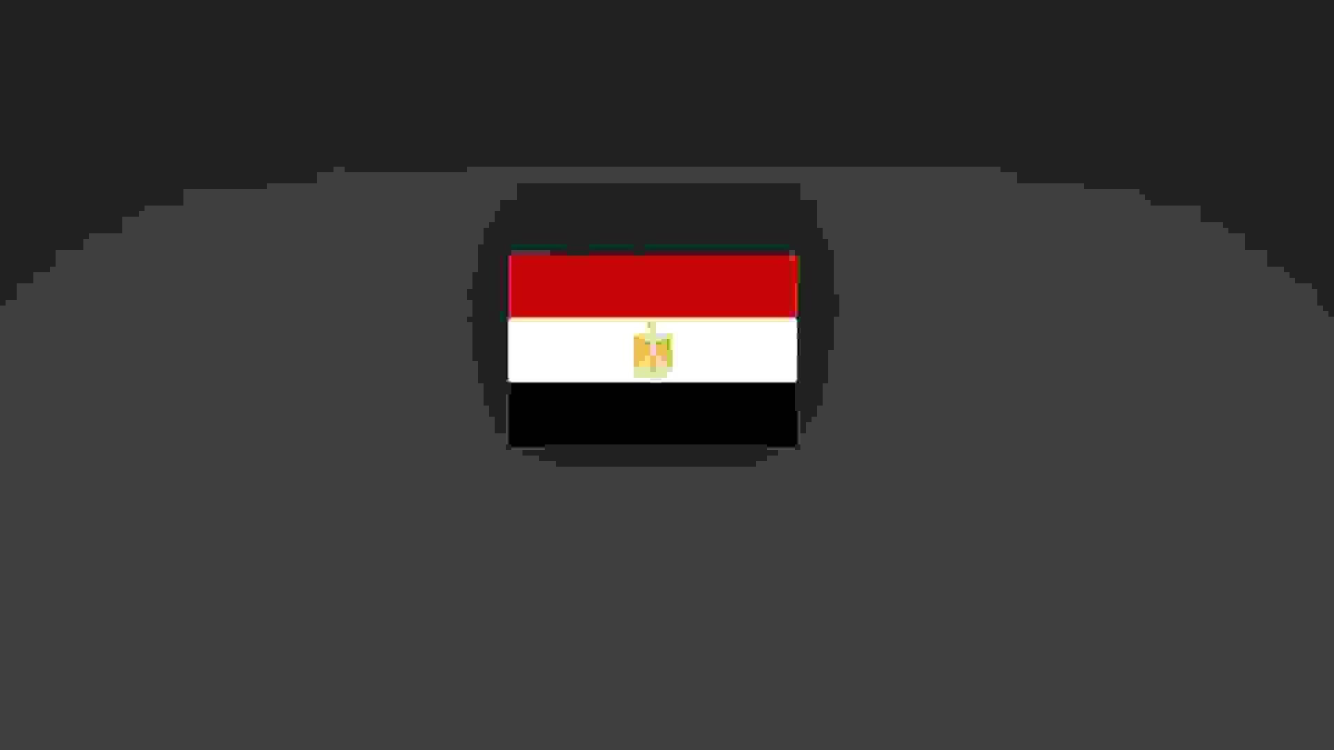 11723 2d495 original