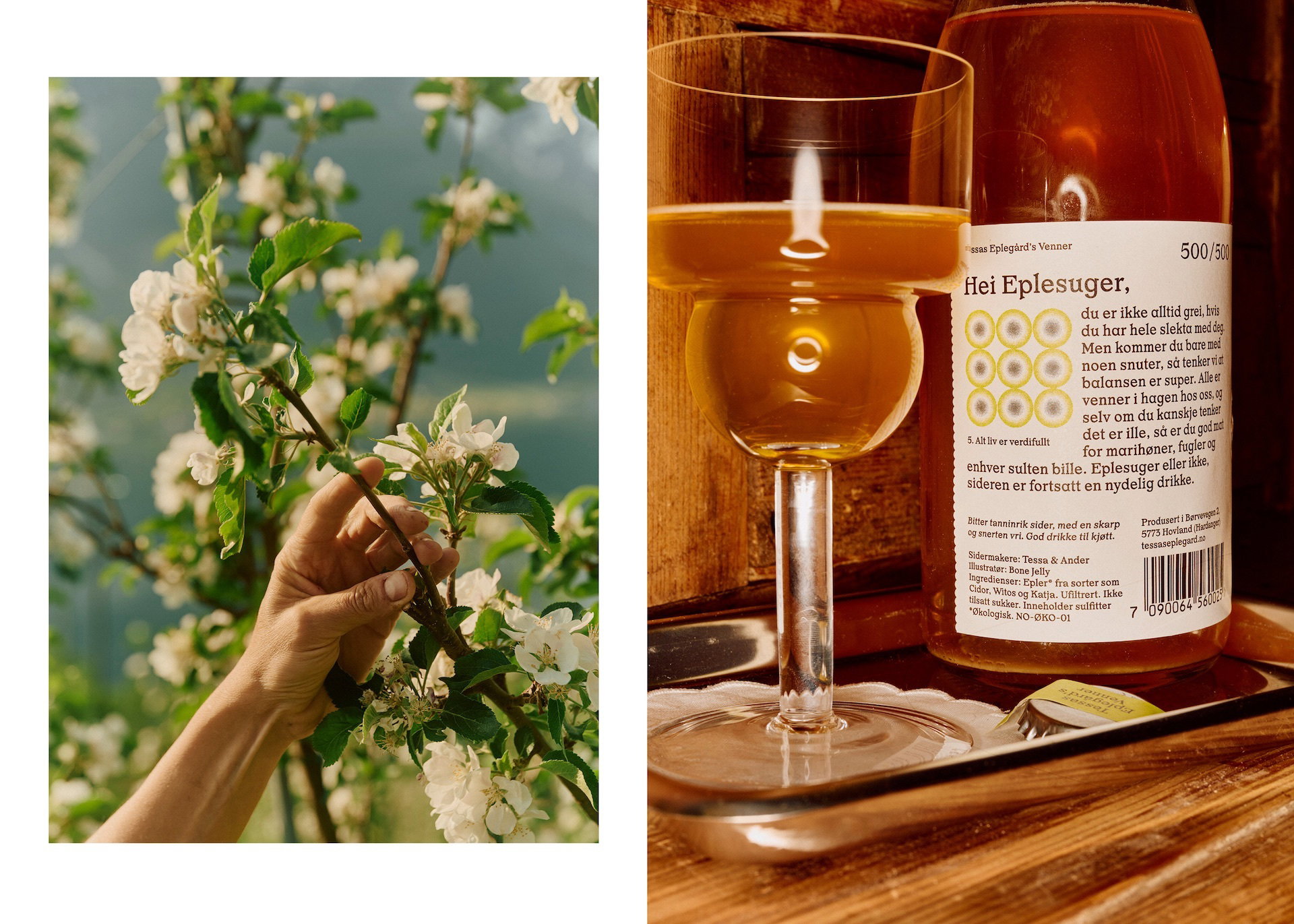 12 Tessa Cider