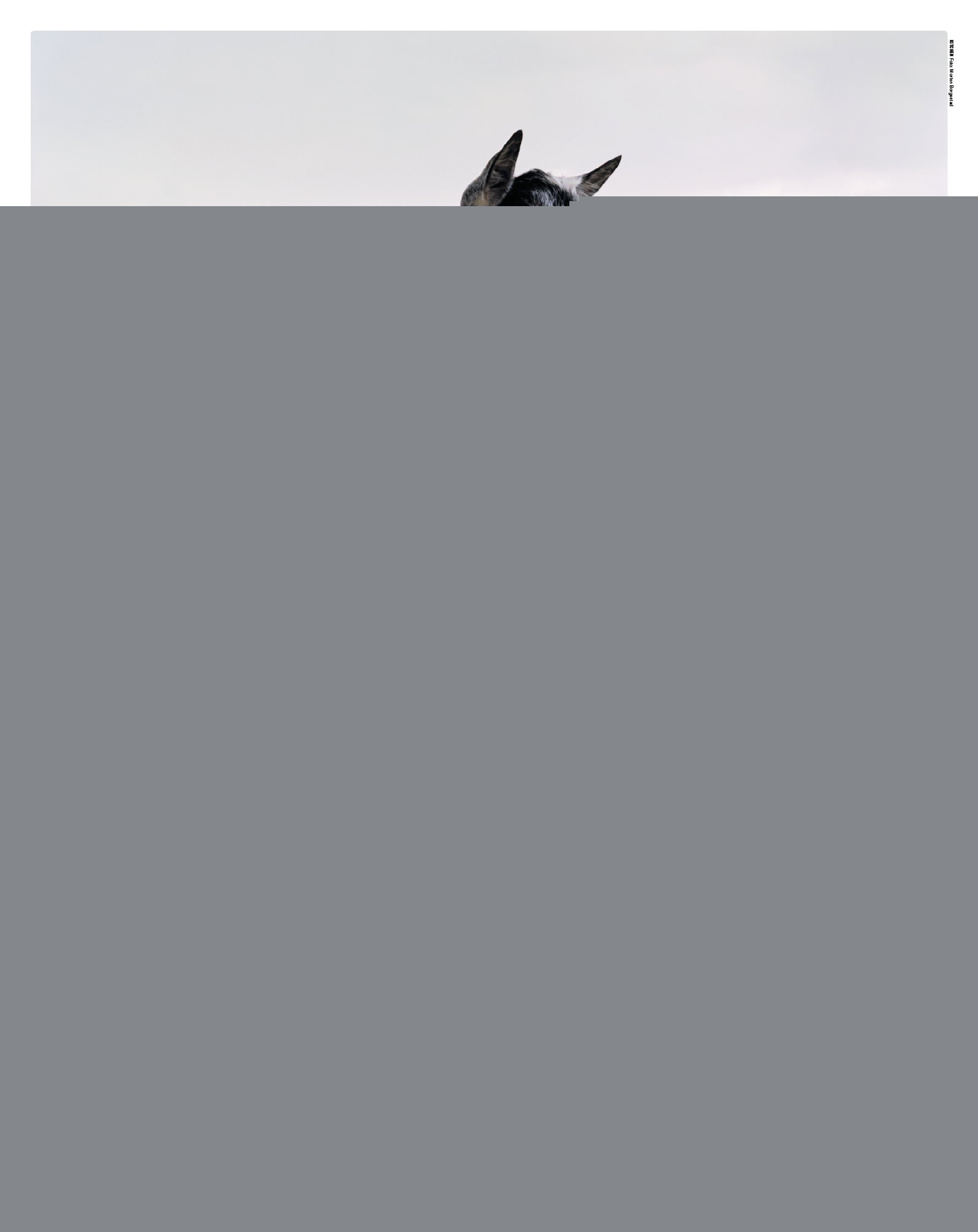 13520 69a73 original