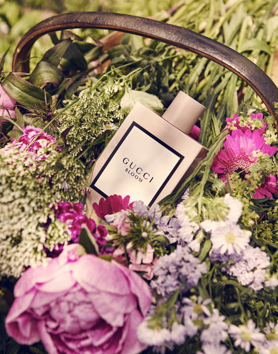 170601 HARRODS GUCCI 060 009 SINGLE