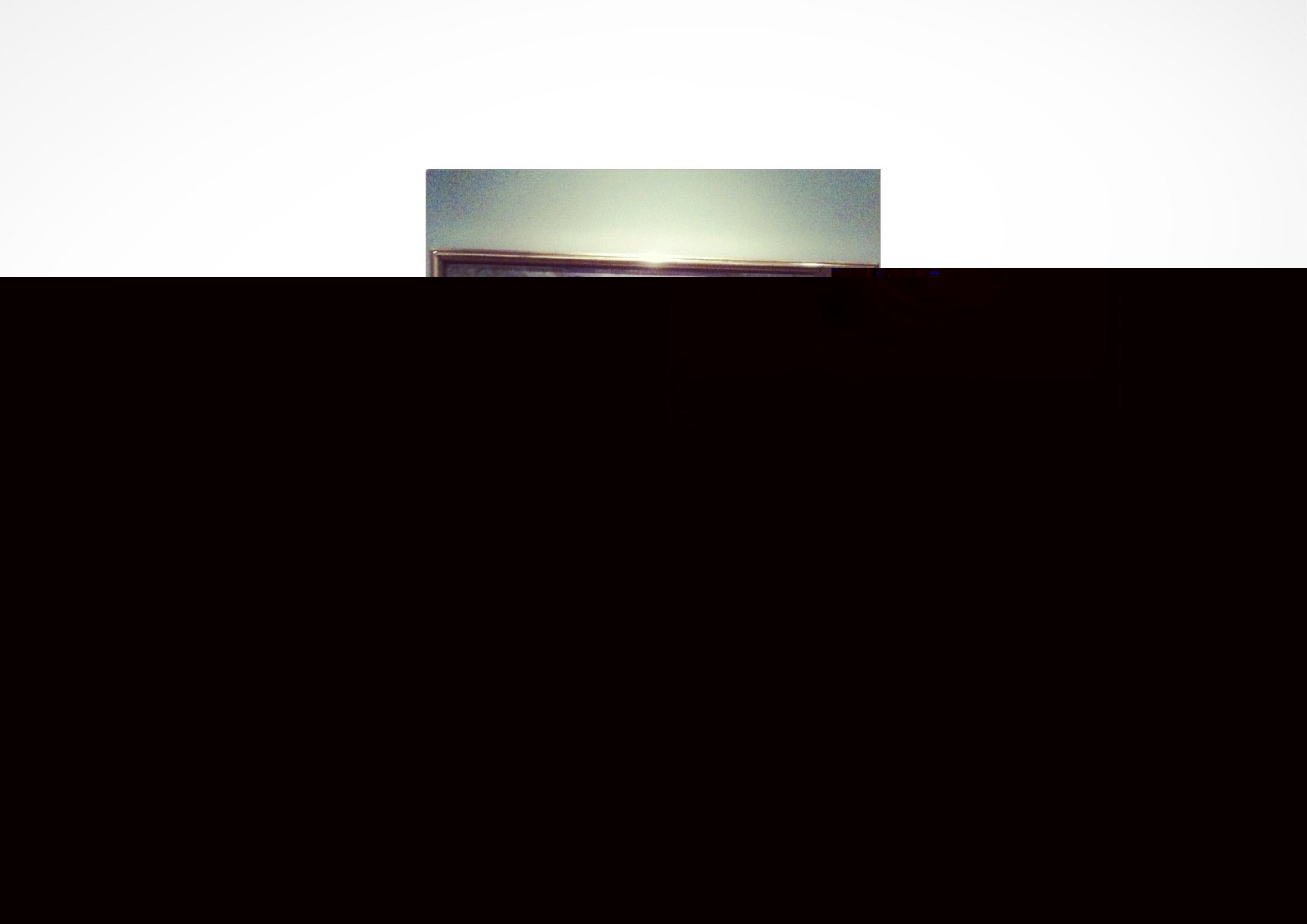 17190 60f31 original