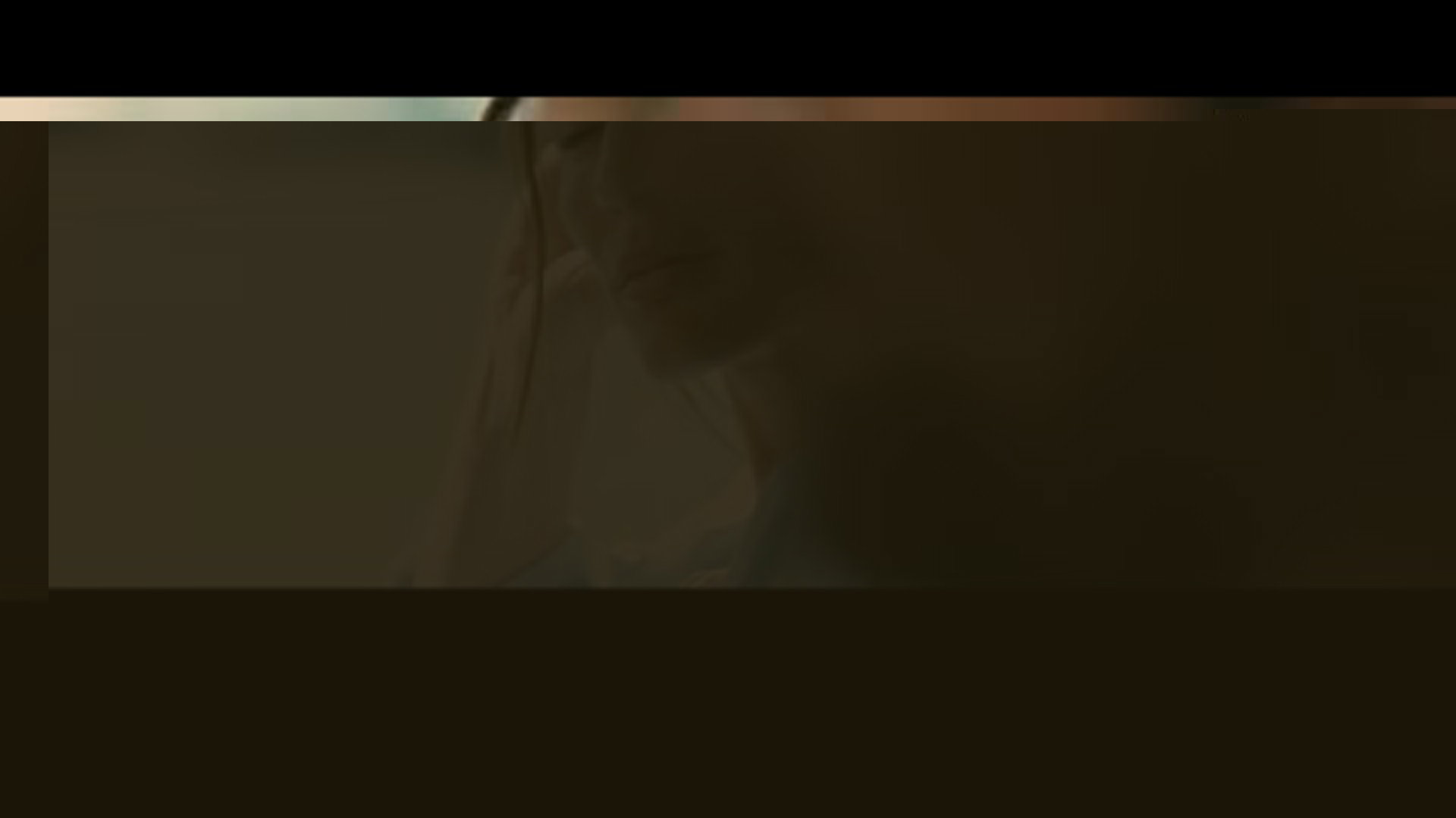 17813 29582 original