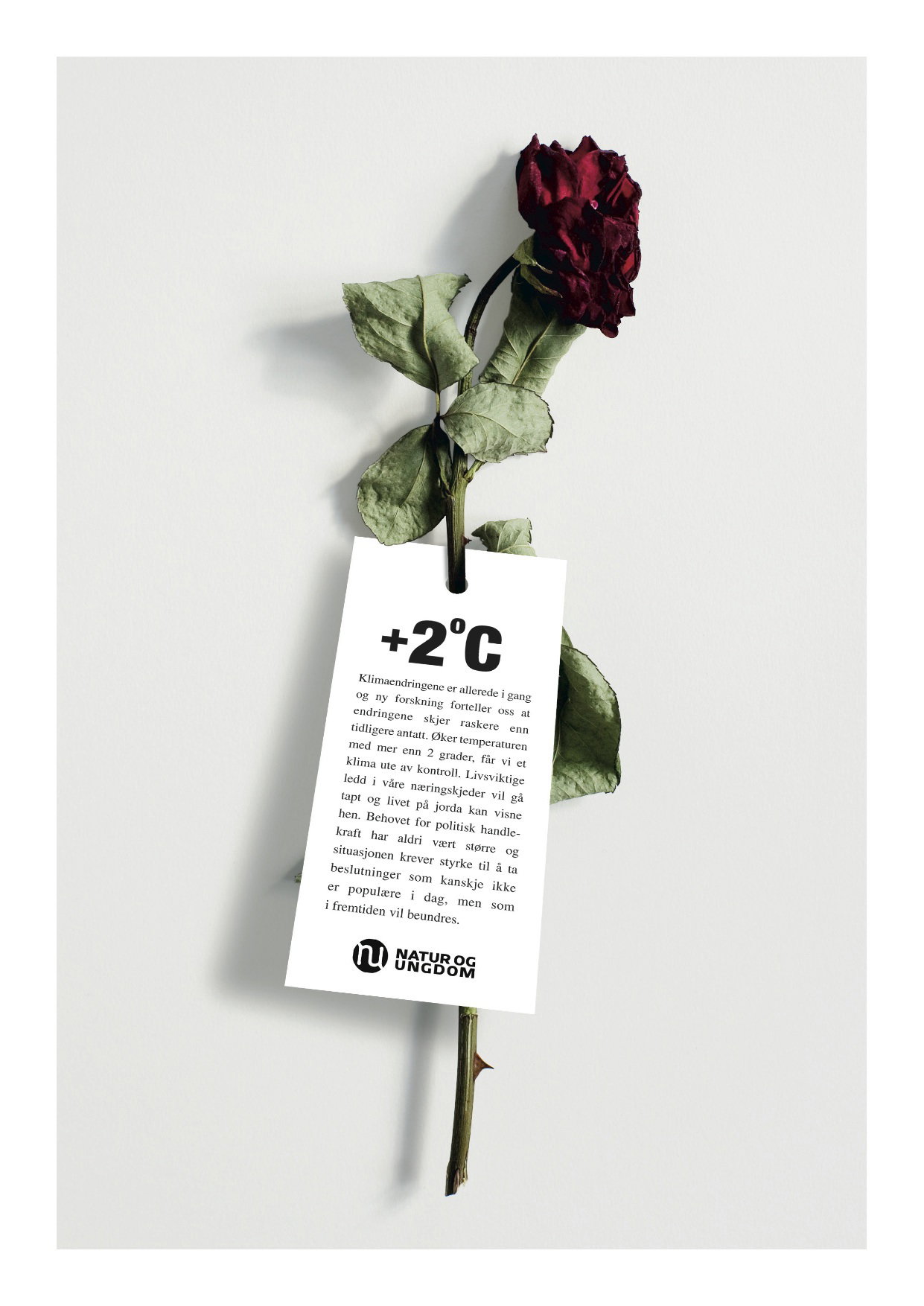 17832 fff3b original