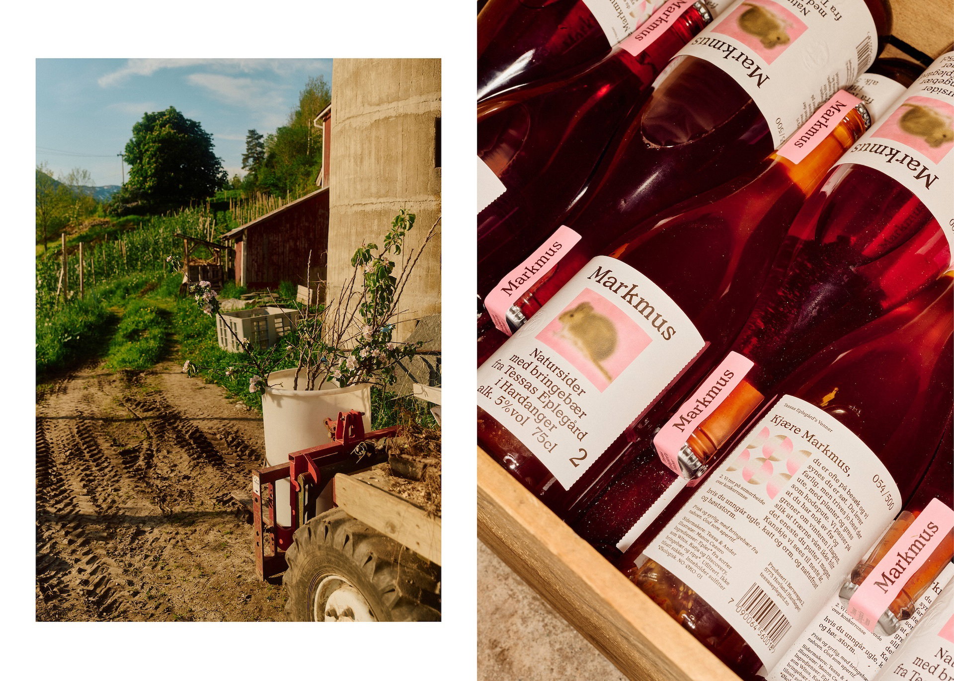 19 Tessa Cider