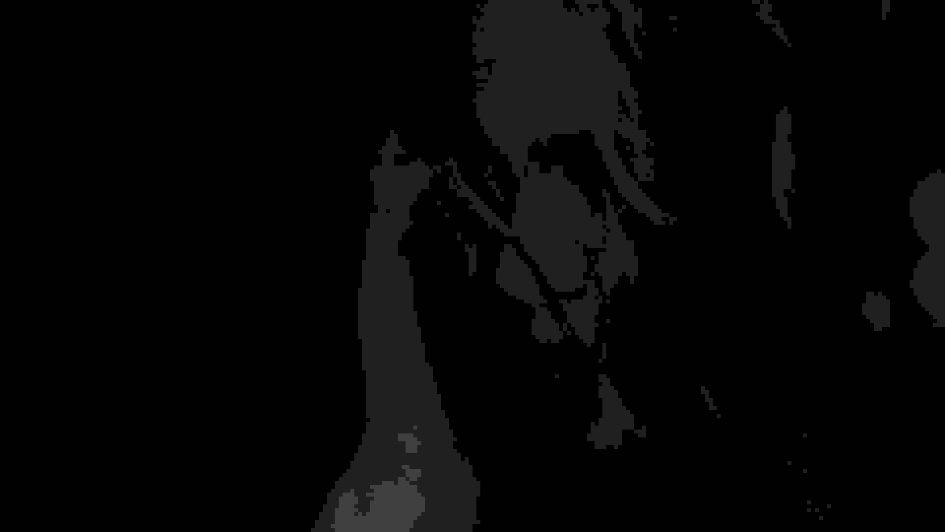 22101 48d37 original