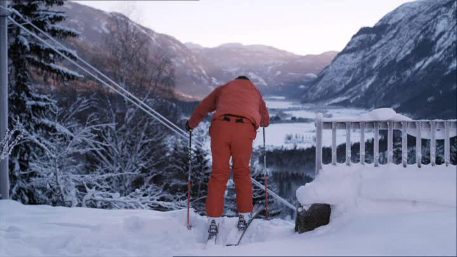 2564 d1173 original