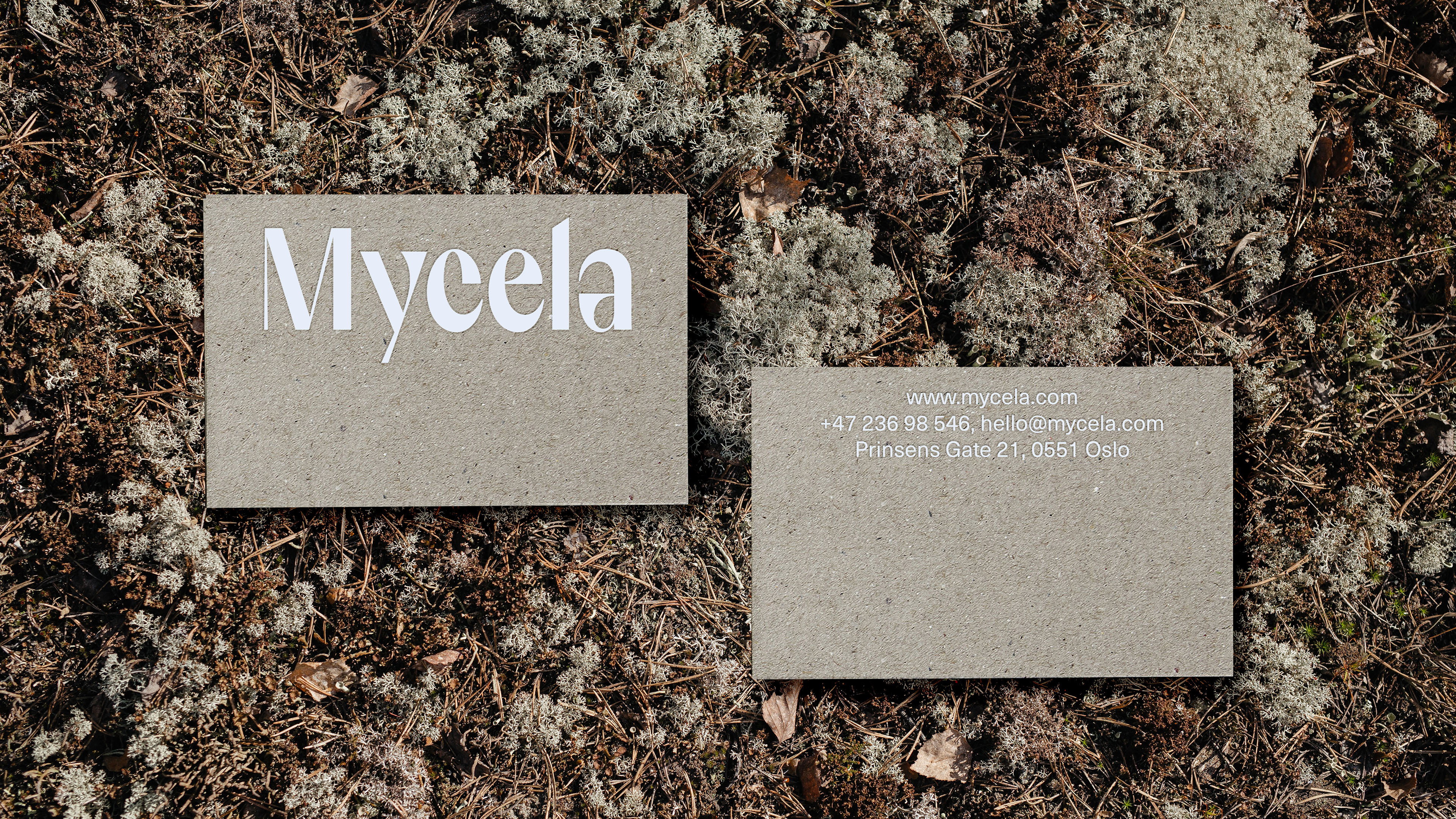 2 Mycela BC