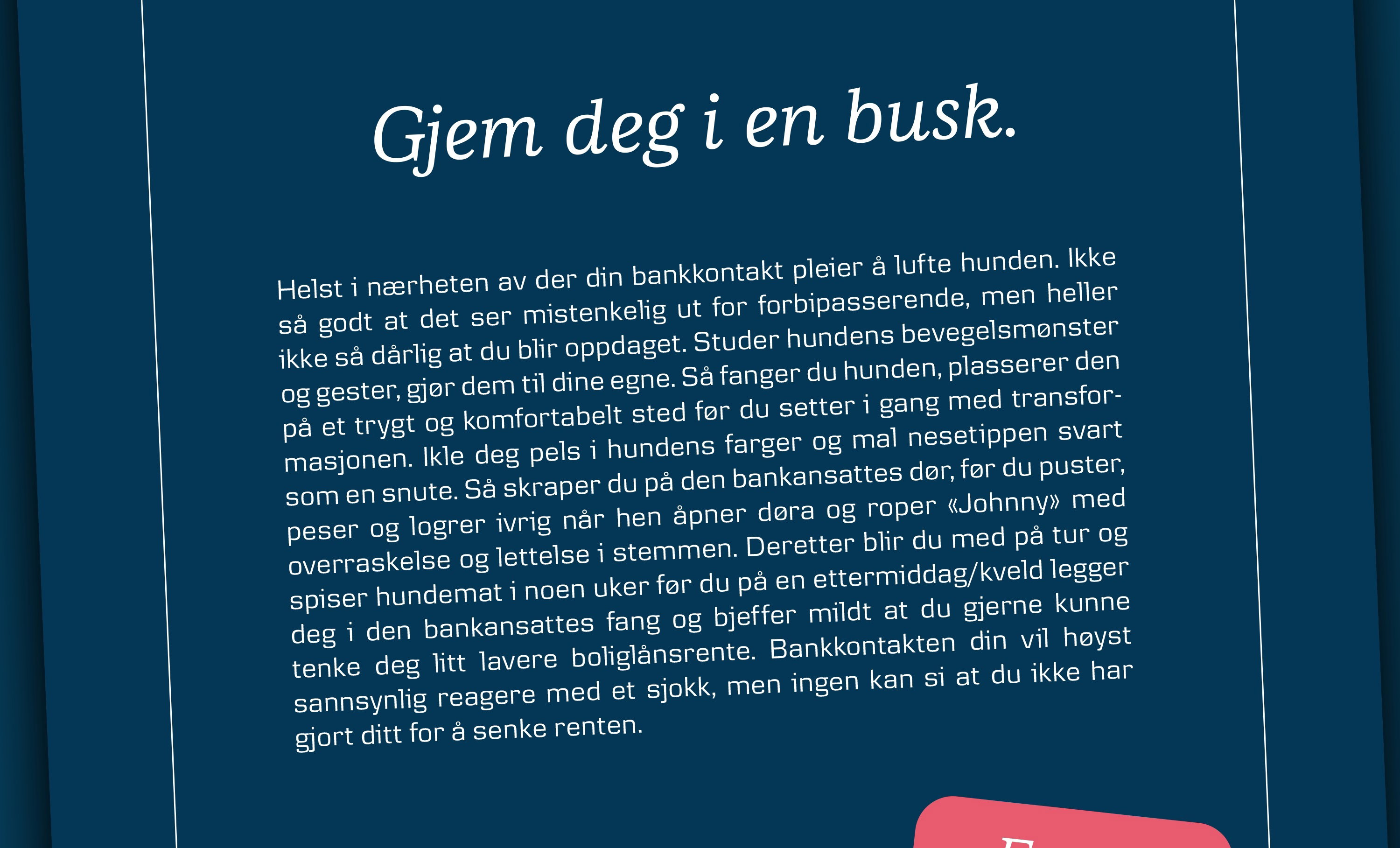 3 Danske Bank Tips print busk