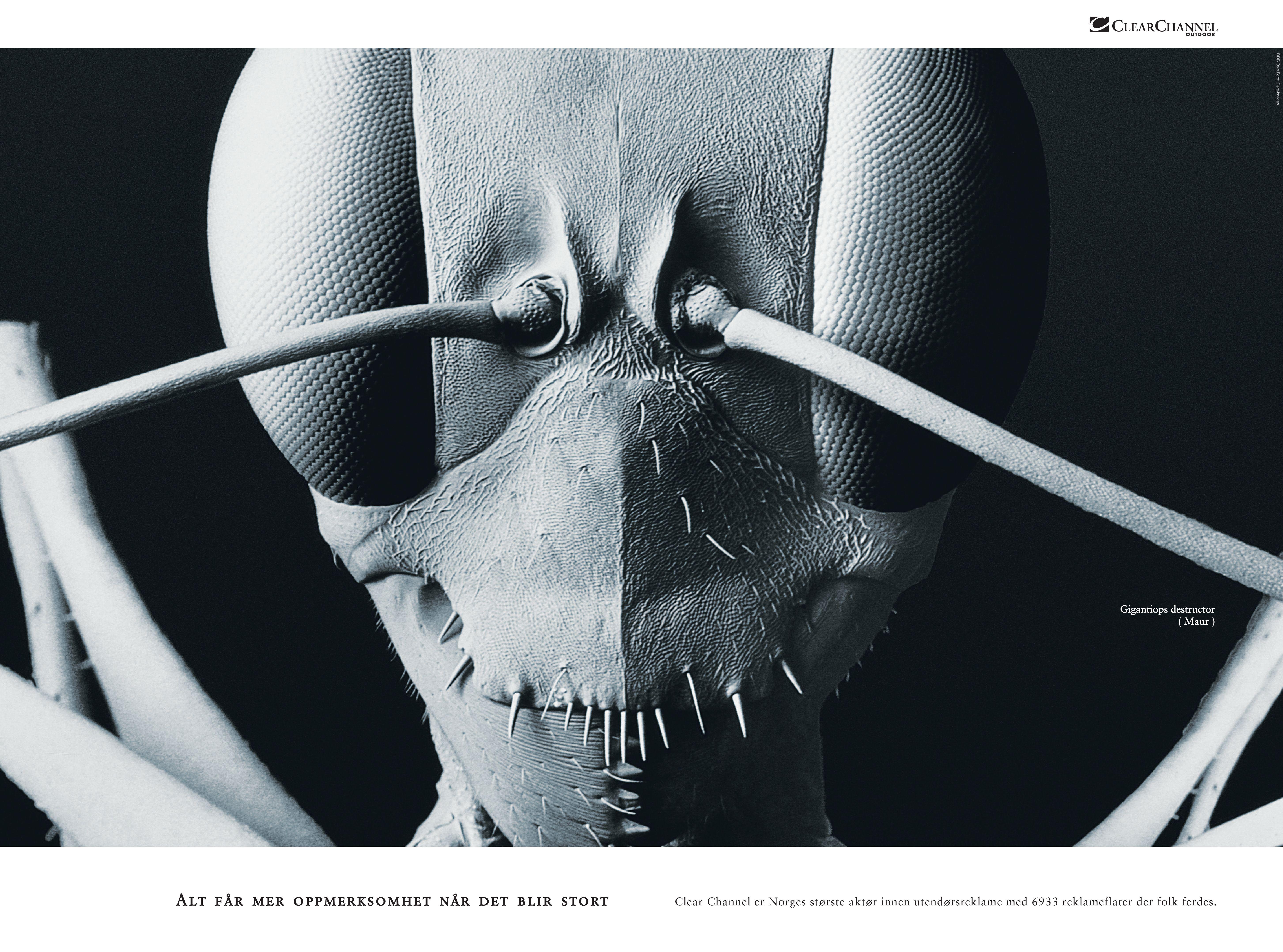 32730 ad716 original