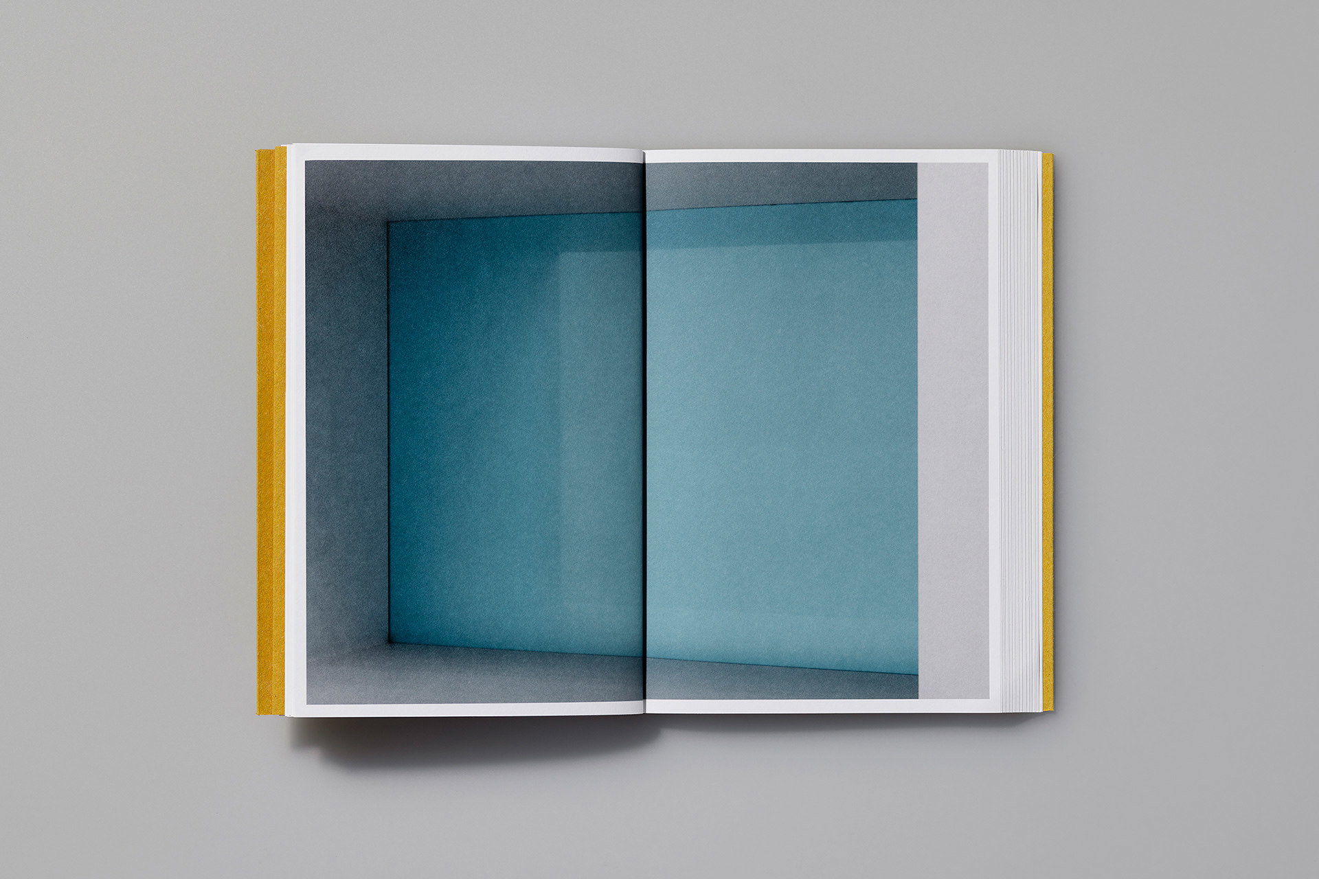 4 Donald Judd 5