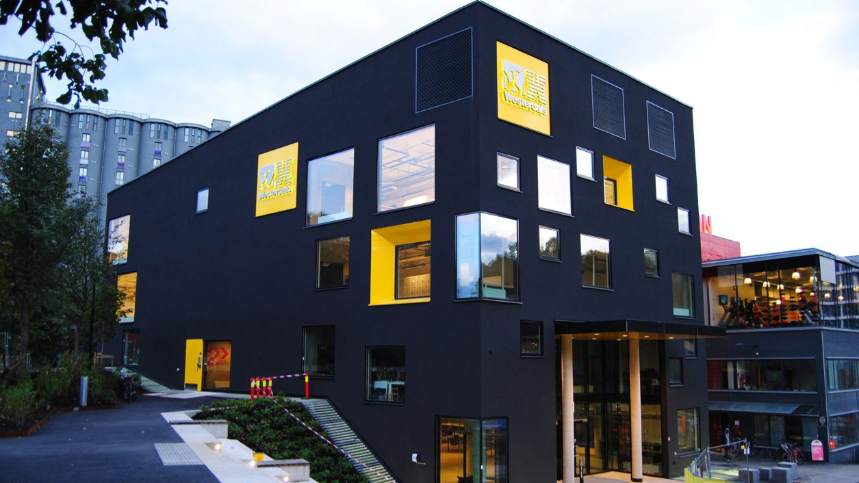 41182 78770 original