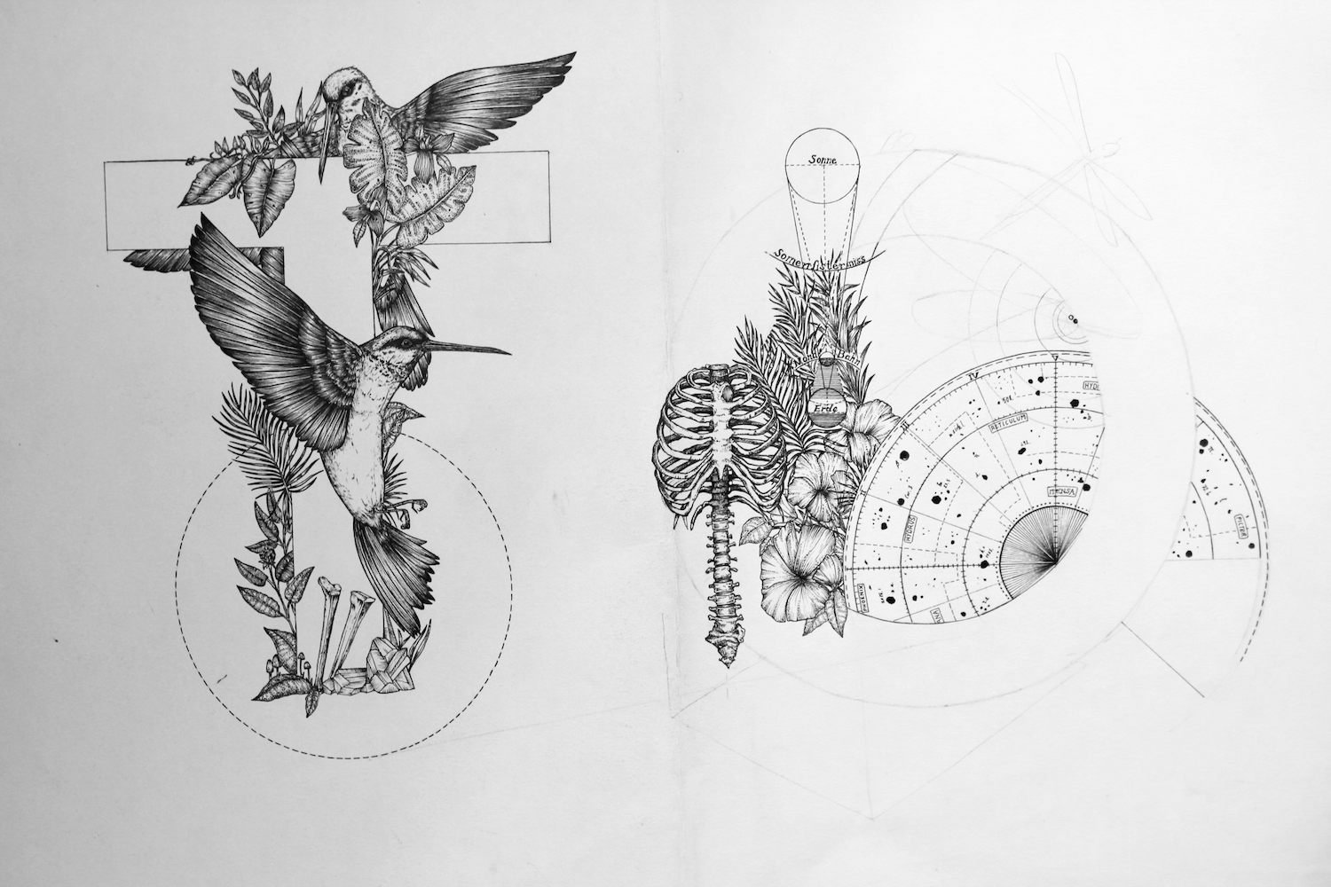 59404 45923 original