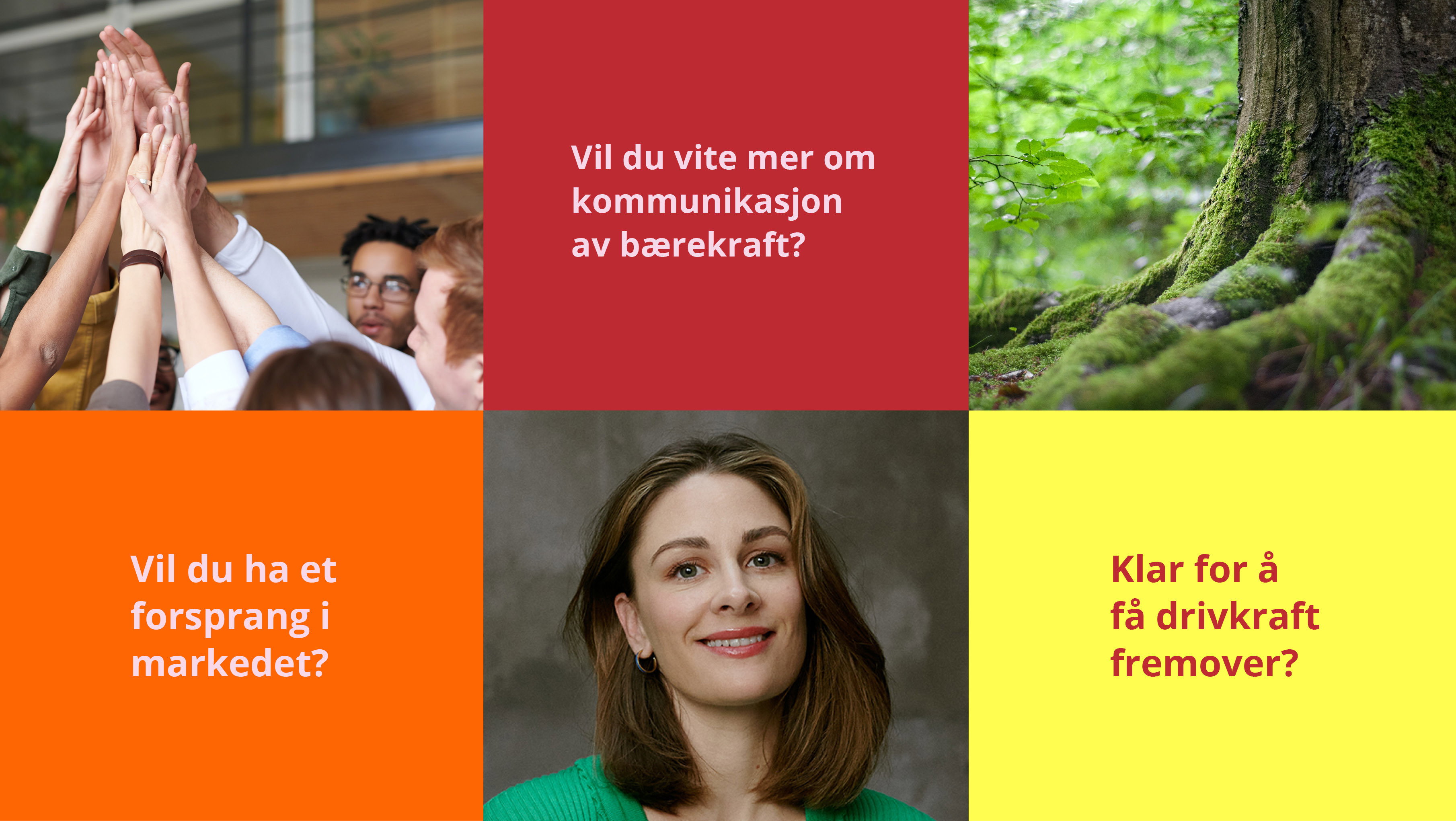 5 Green Camp designprofil Awake5
