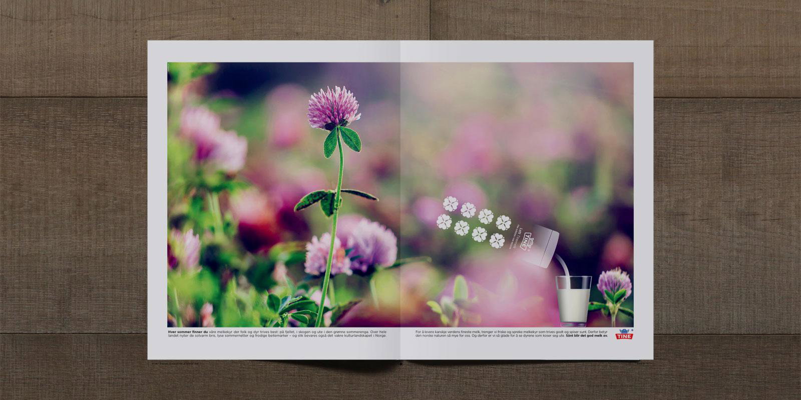 76045 d360d original