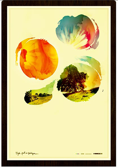 8151 d41fd original