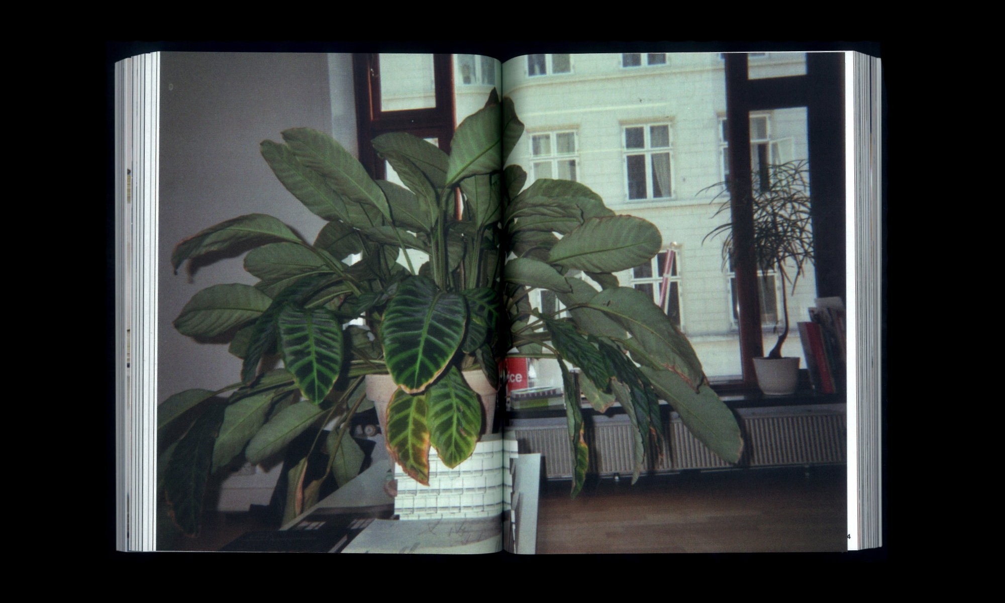 89636 72f36 original