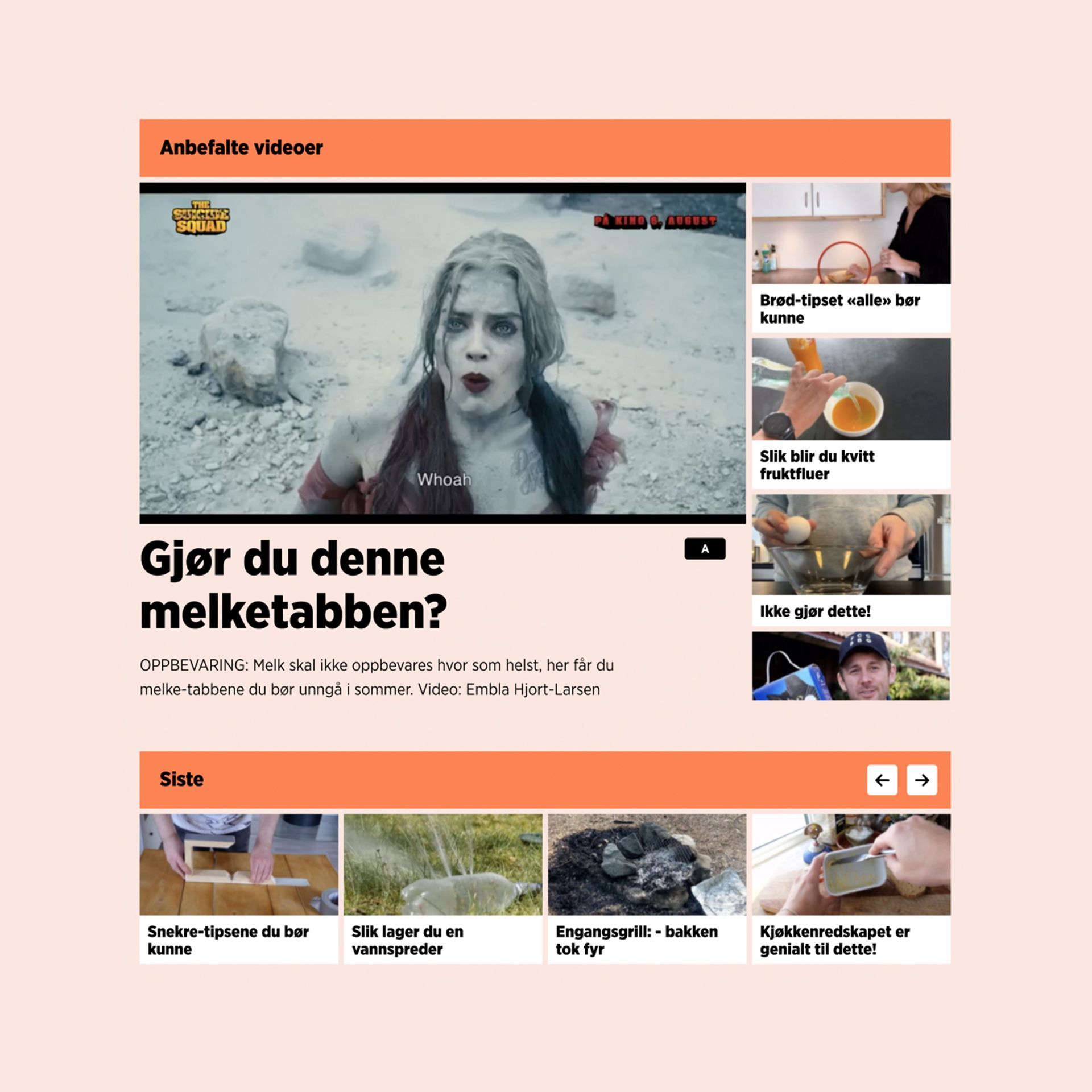 8 Dinside artikkel 1