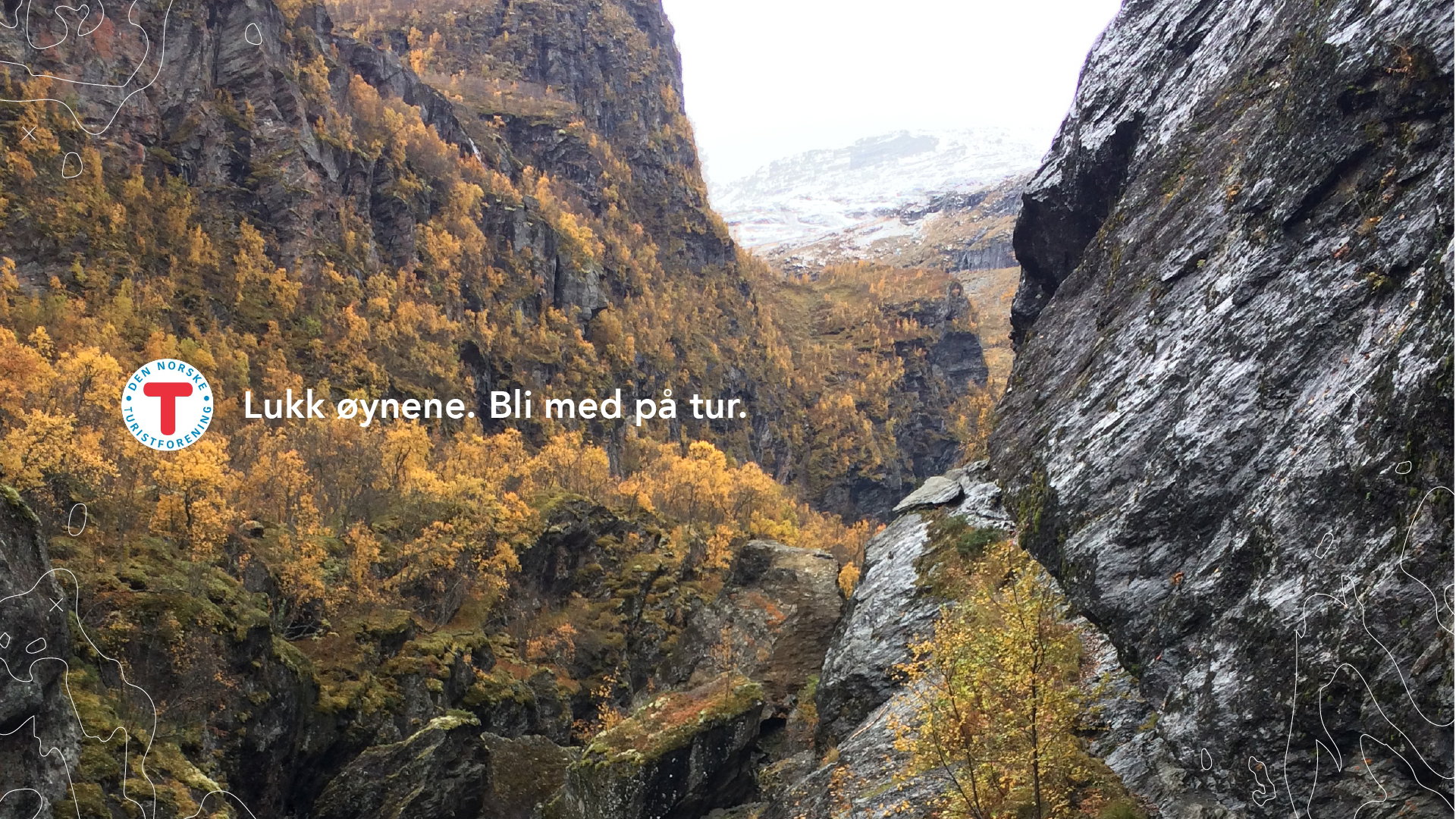 96366 ea8d9 original