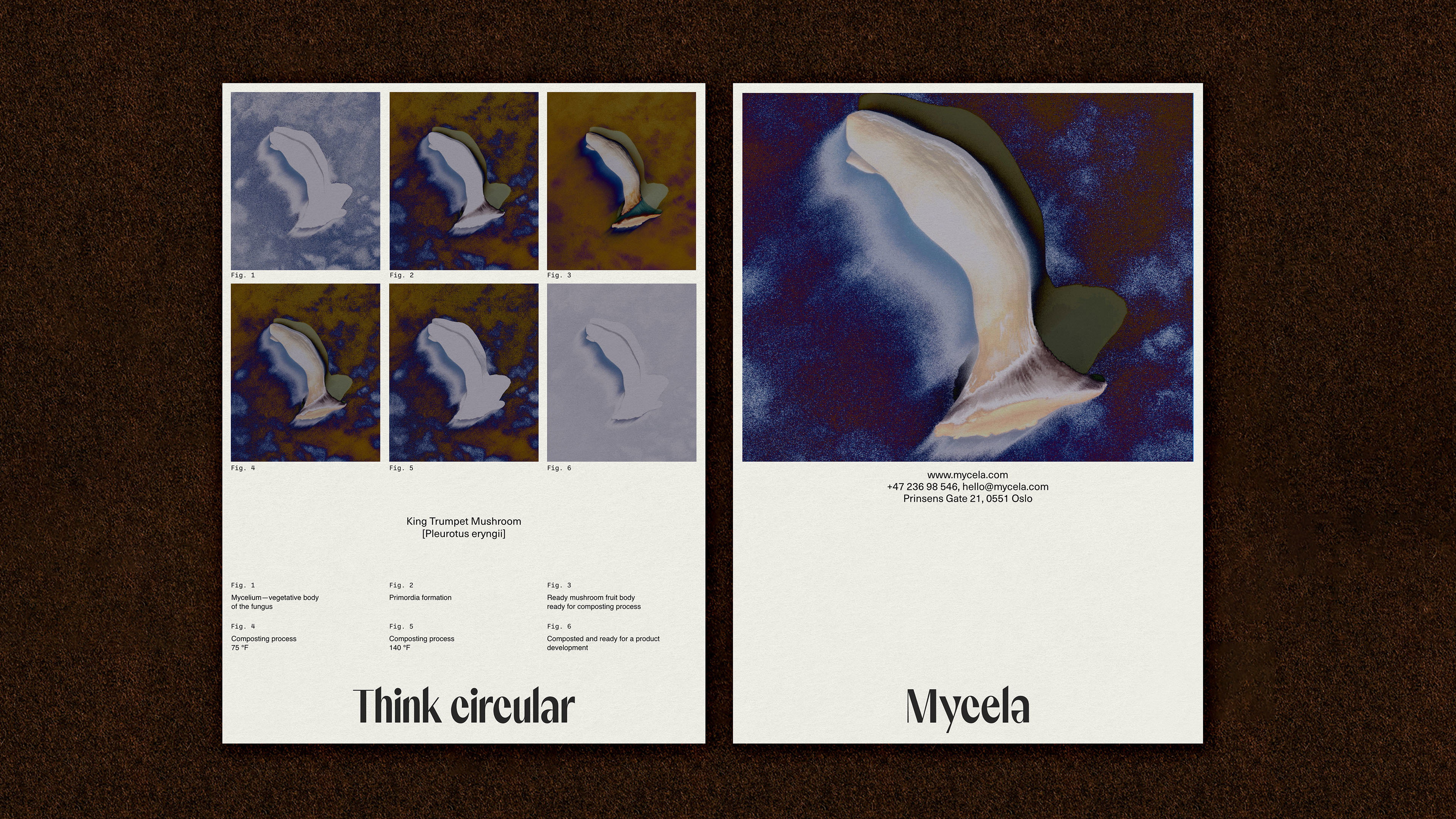 9 Mycela card