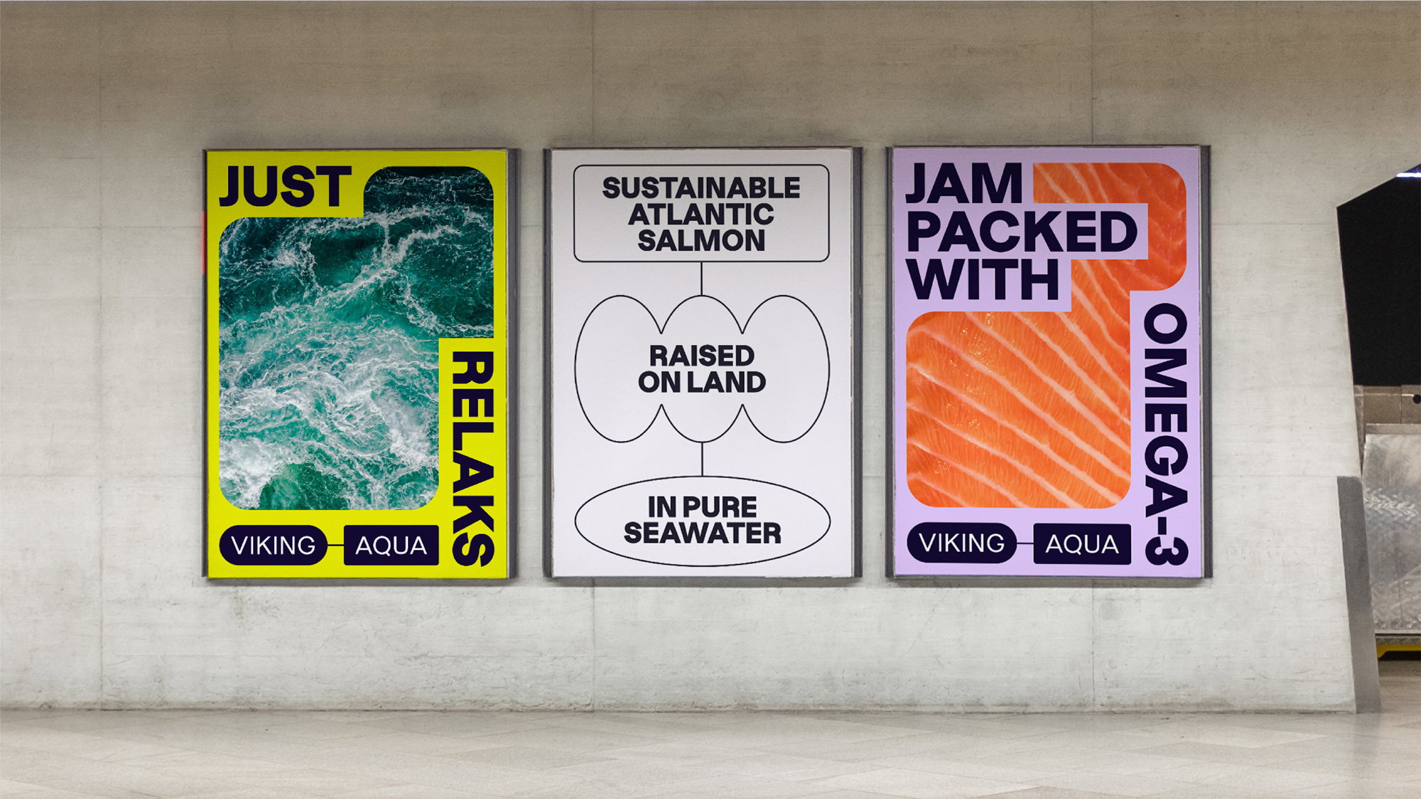 ANTI Viking Aqua Identity Advertising