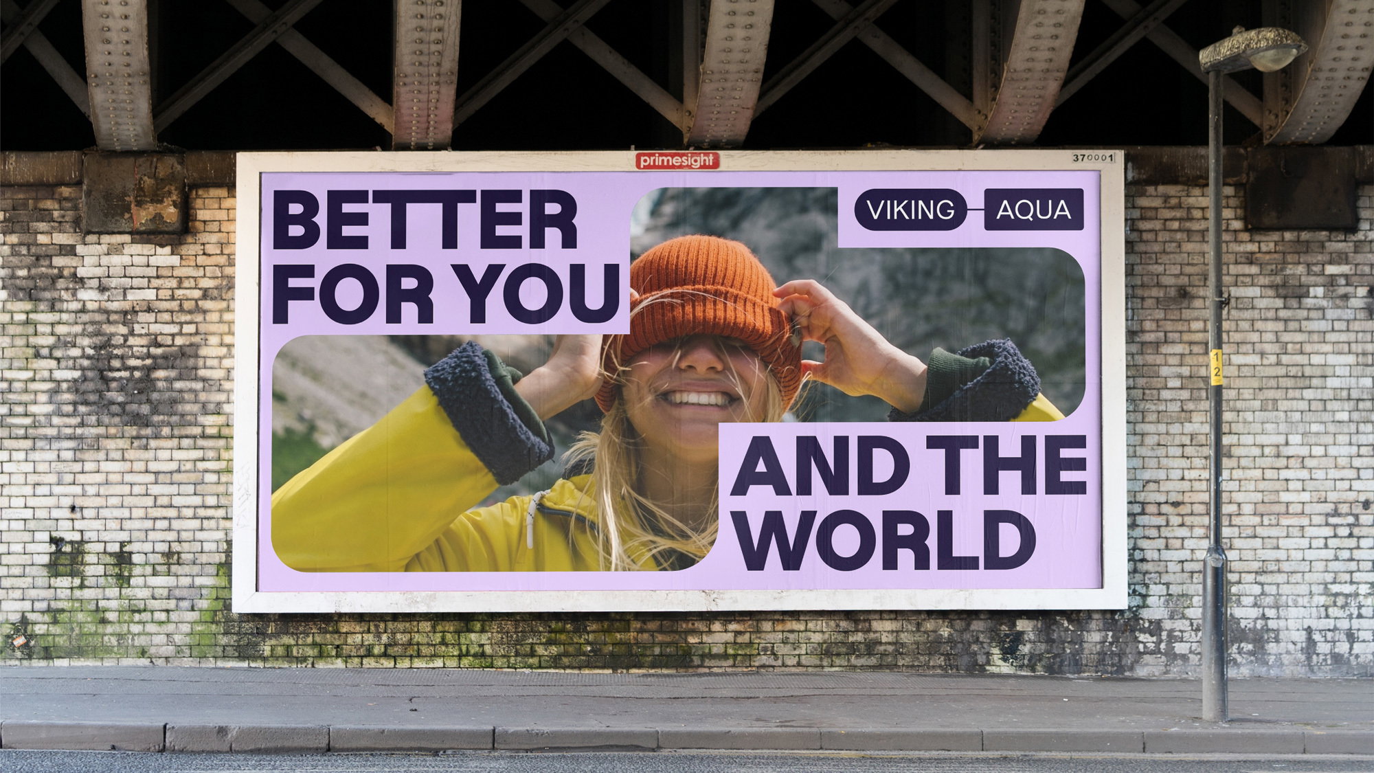 ANTI Viking Aqua Identity Billboard