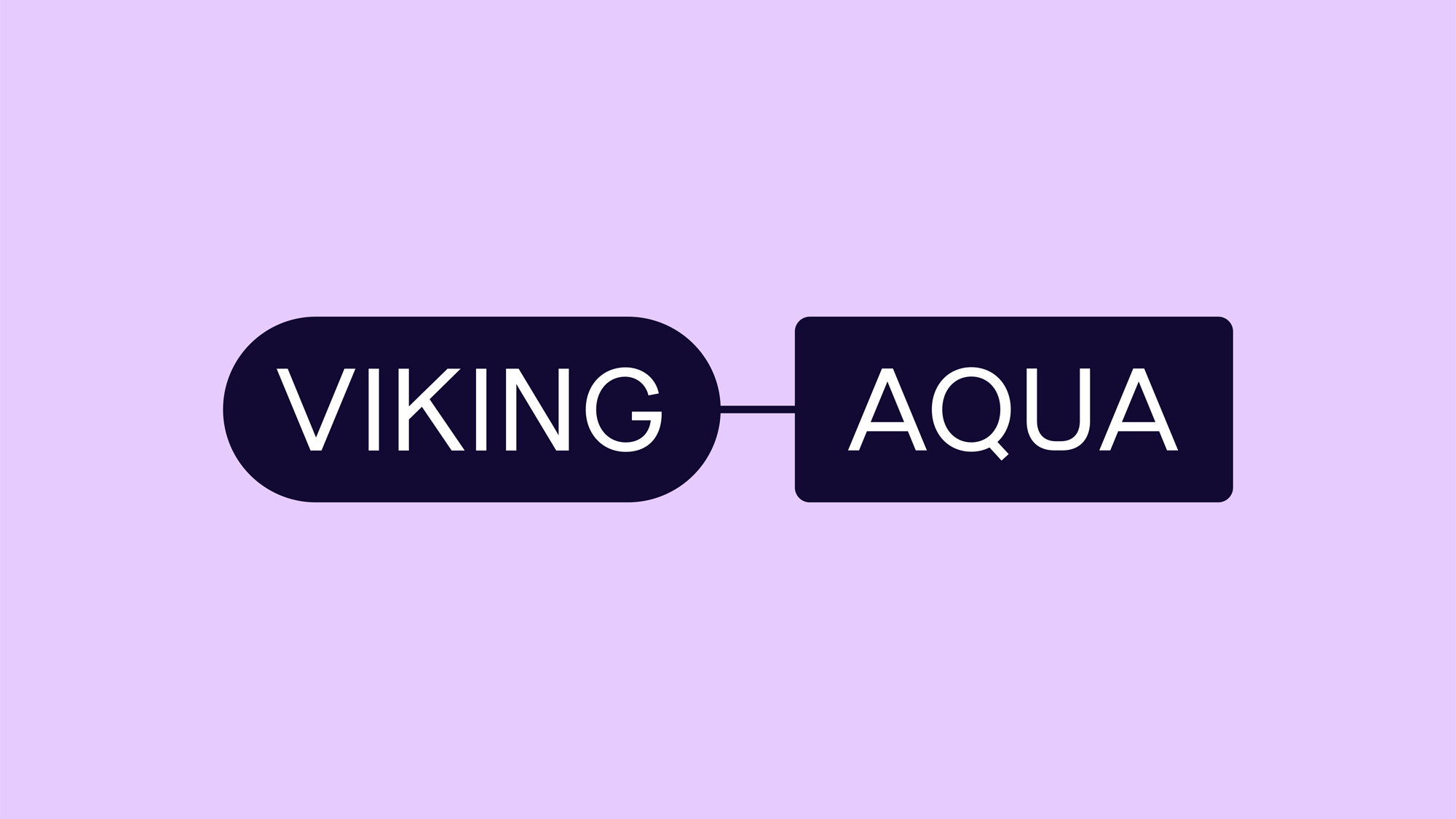 ANTI Viking Aqua Identity Logo