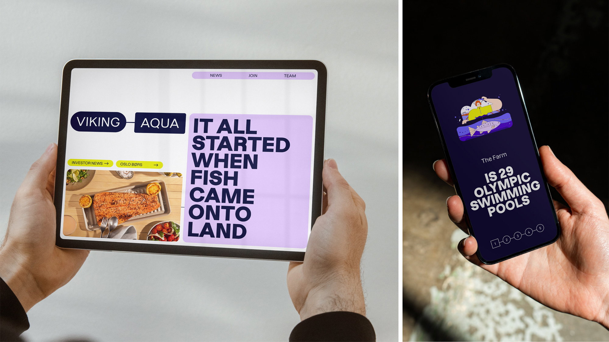 ANTI Viking Aqua Identity Web