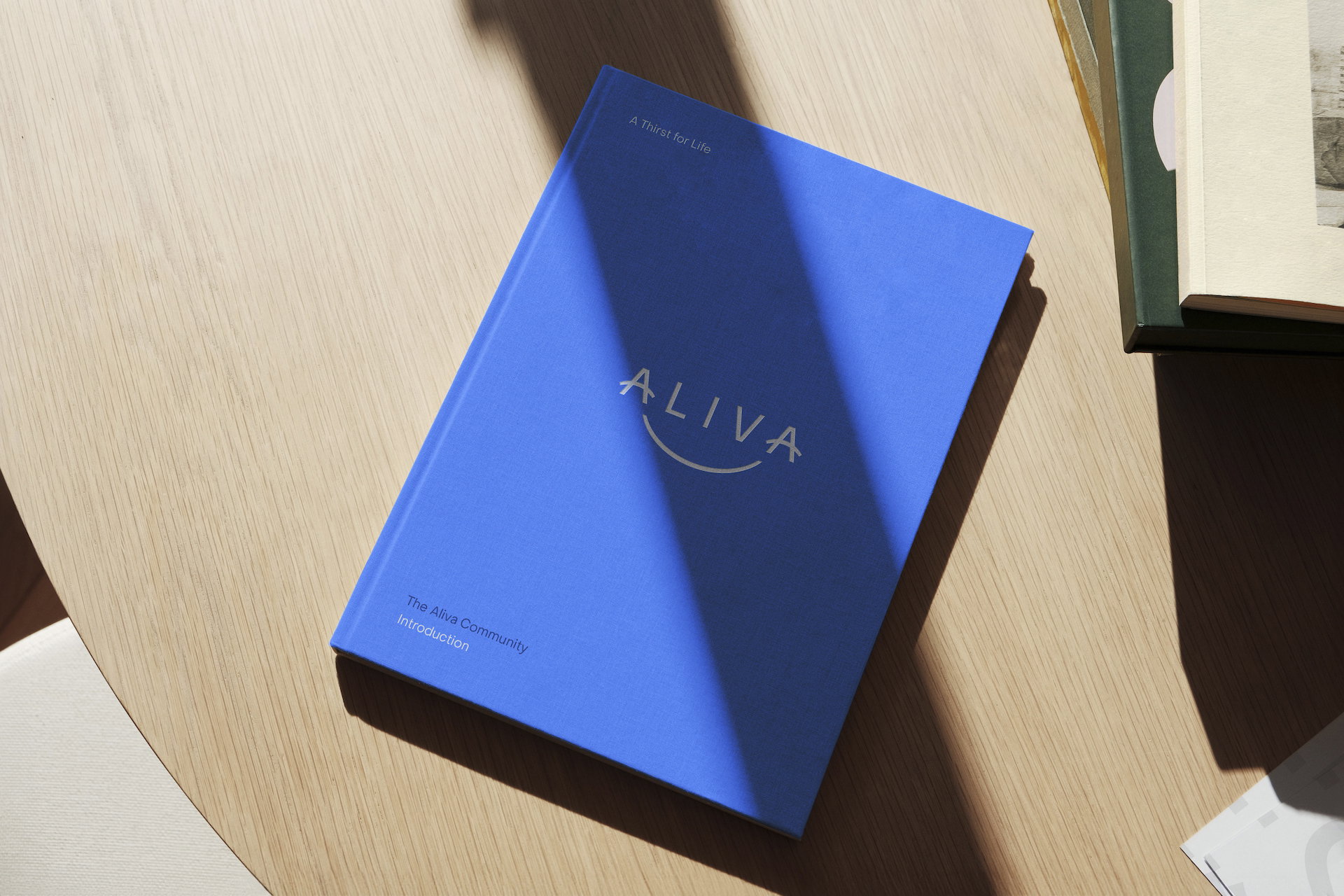 Aliva Website Doc 22
