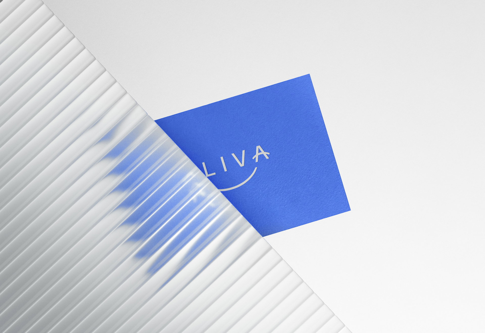 Aliva Website Doc 4