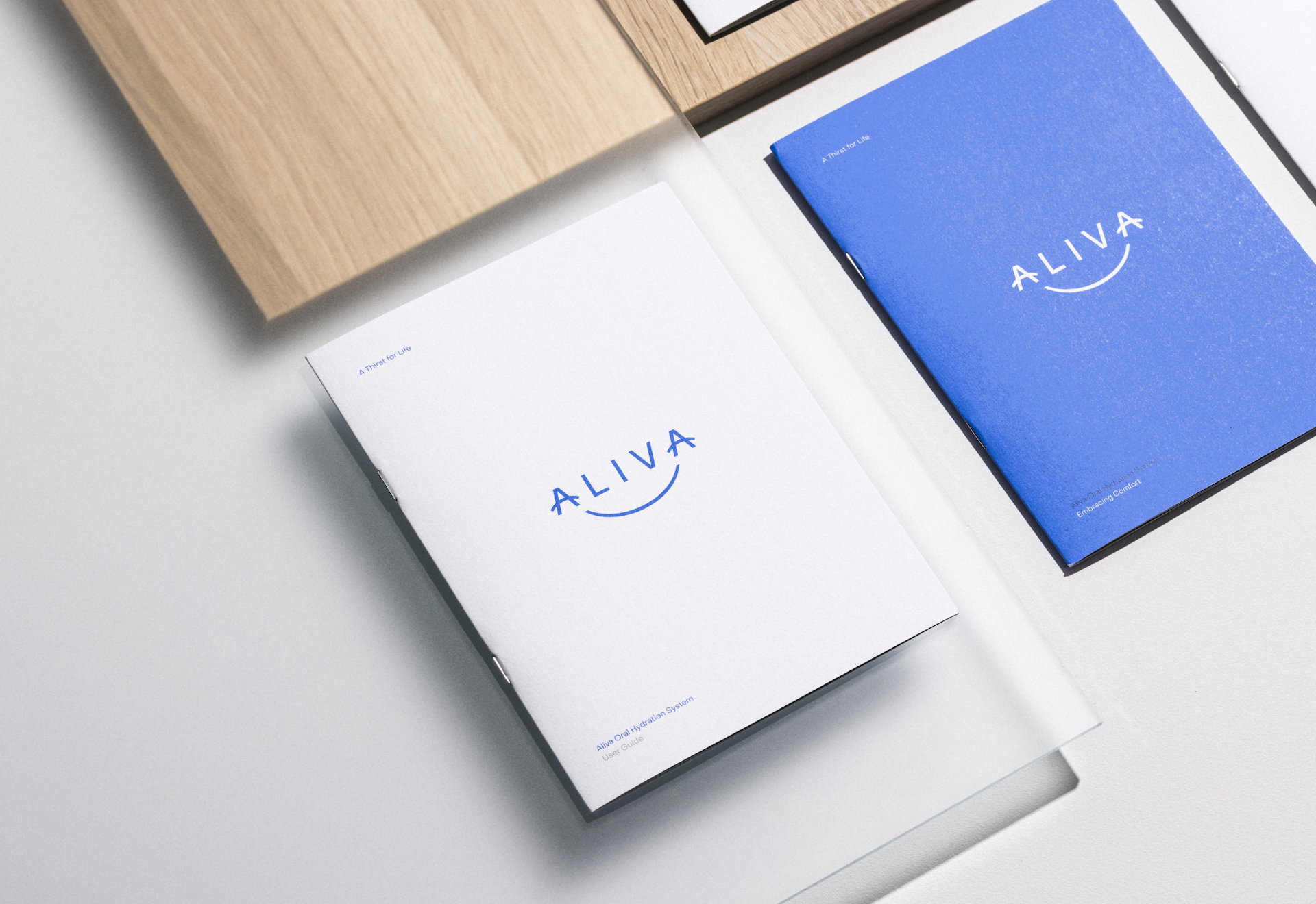 Aliva Website Doc 8
